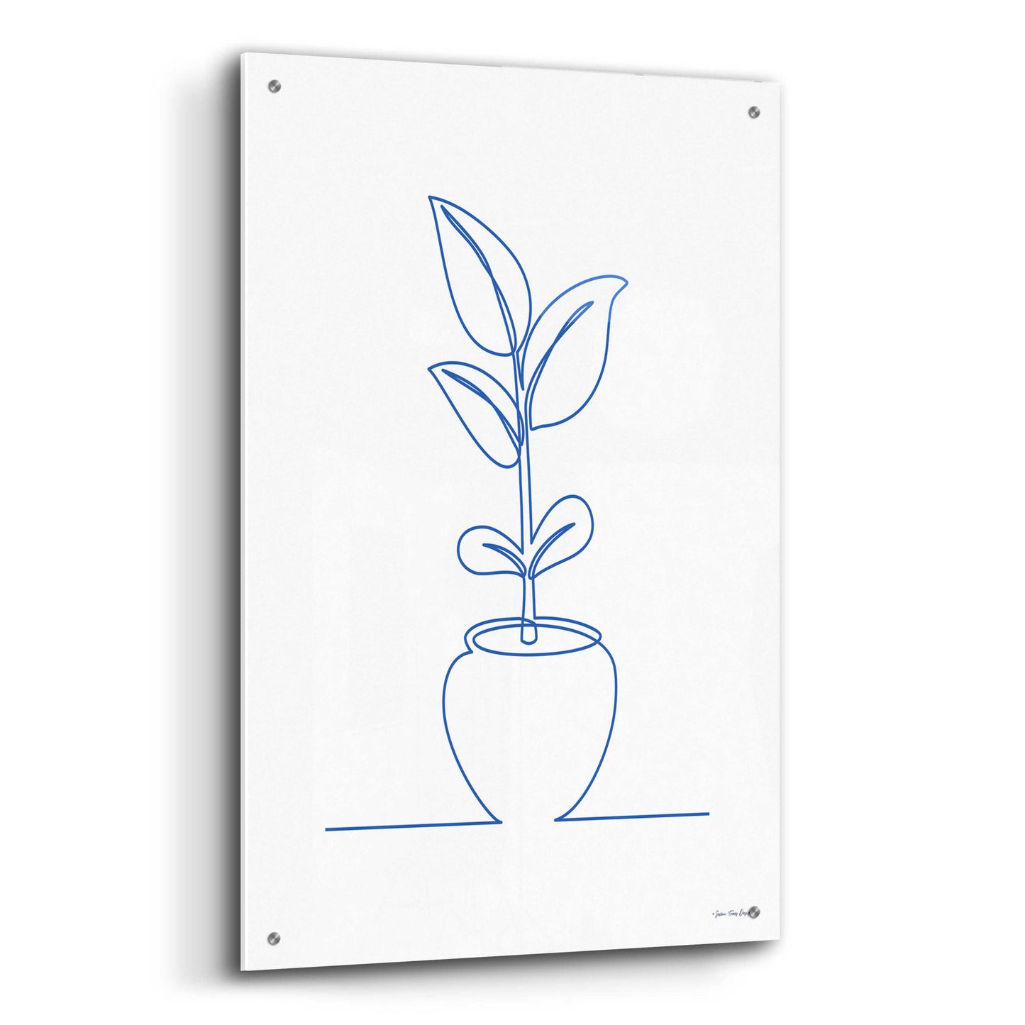 Epic Art 'One Line Plant II' by Seven Trees Design, Acrylic Glass Wall Art,24x36