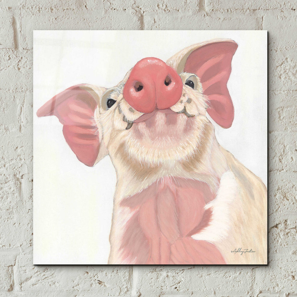 Buster by Ashley Justice - 12x12 acrylic wall art in a room