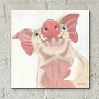 Buster by Ashley Justice - 12x12 acrylic wall art in a room