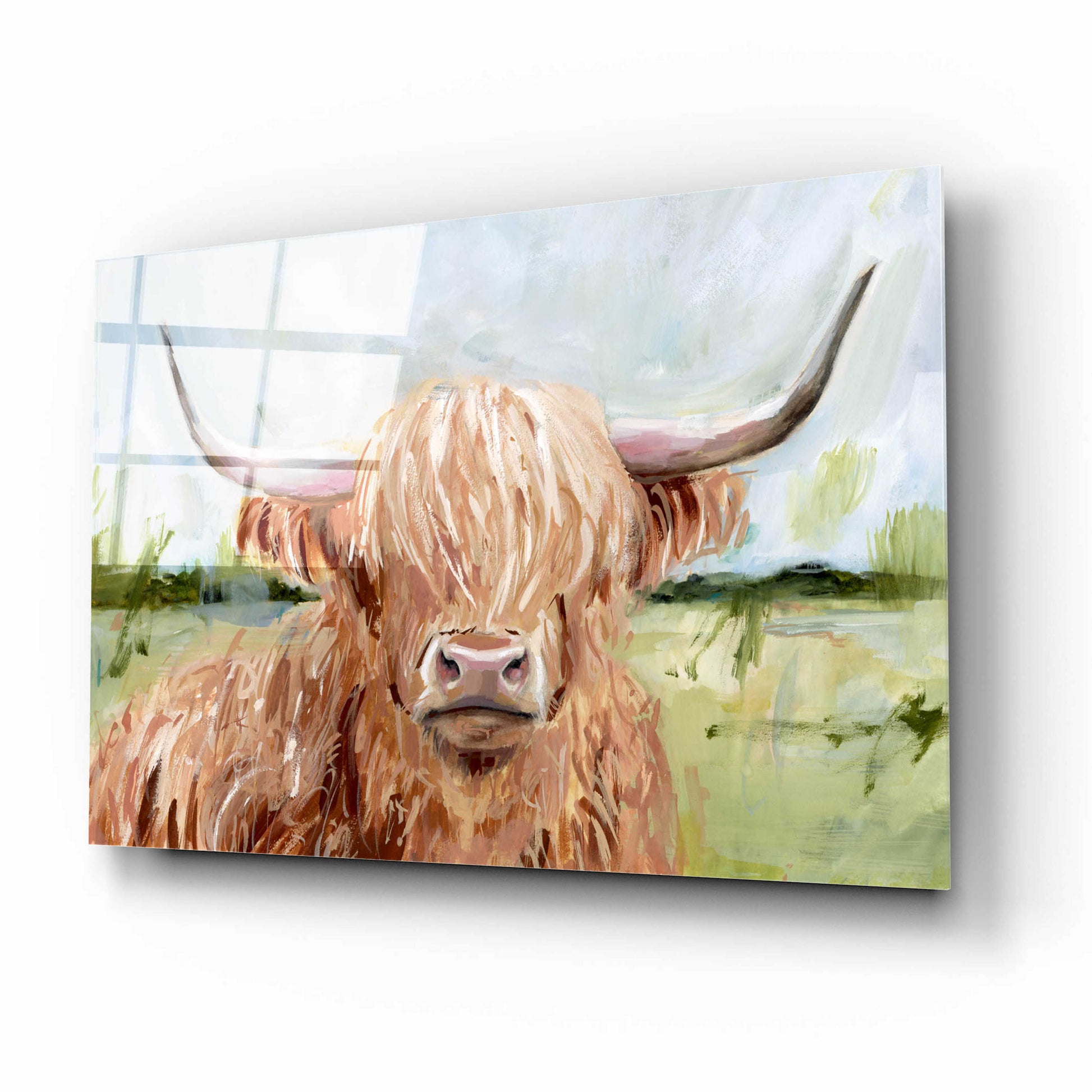 Epic Art 'Highland Grazer II' by Victoria Borges Acrylic Glass Wall Art,16x12