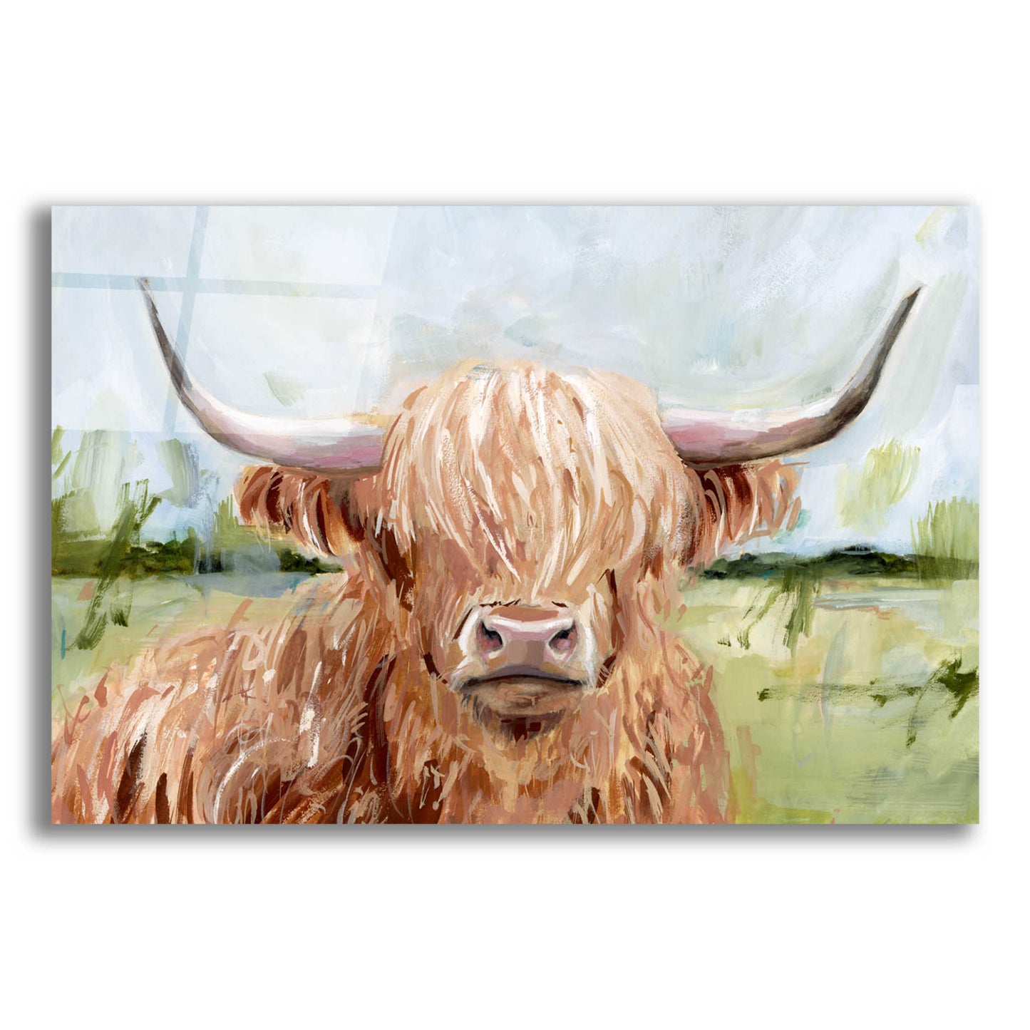 Epic Art 'Highland Grazer II' by Victoria Borges Acrylic Glass Wall Art,16x12