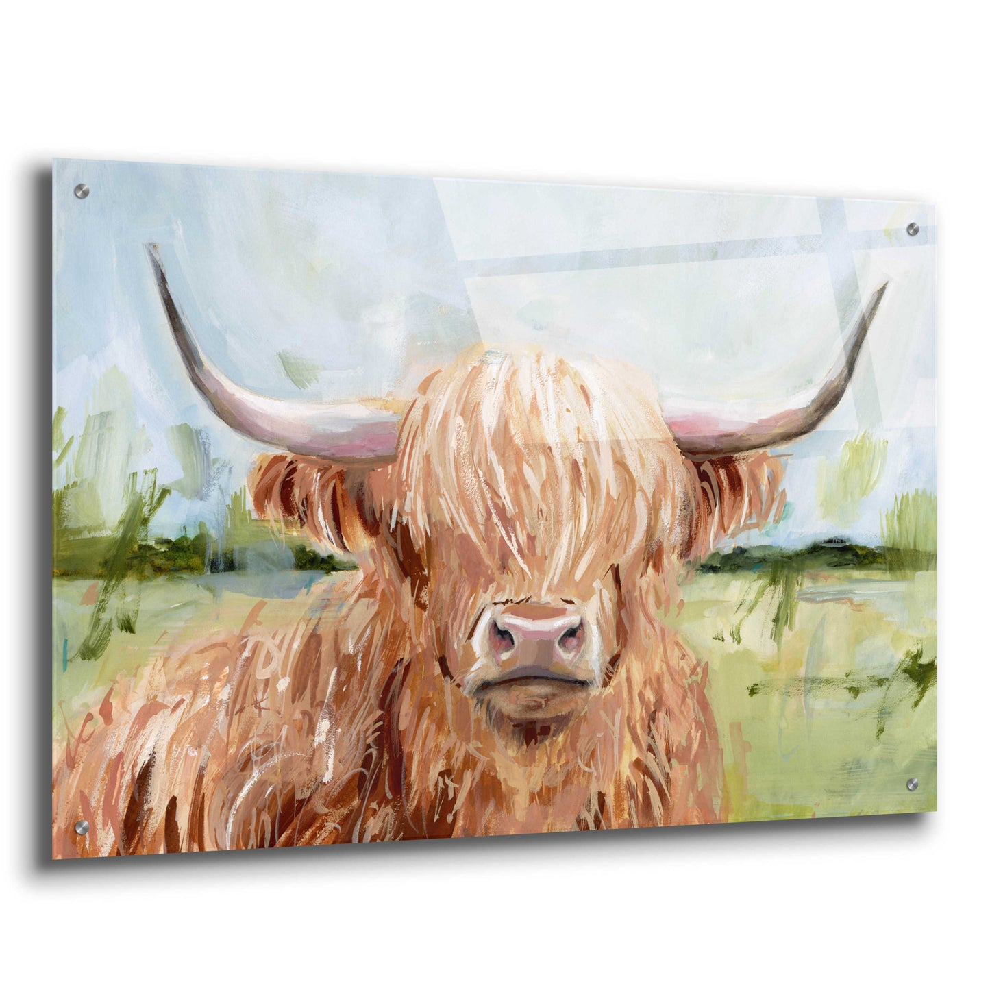 Epic Art 'Highland Grazer II' by Victoria Borges Acrylic Glass Wall Art,36x24