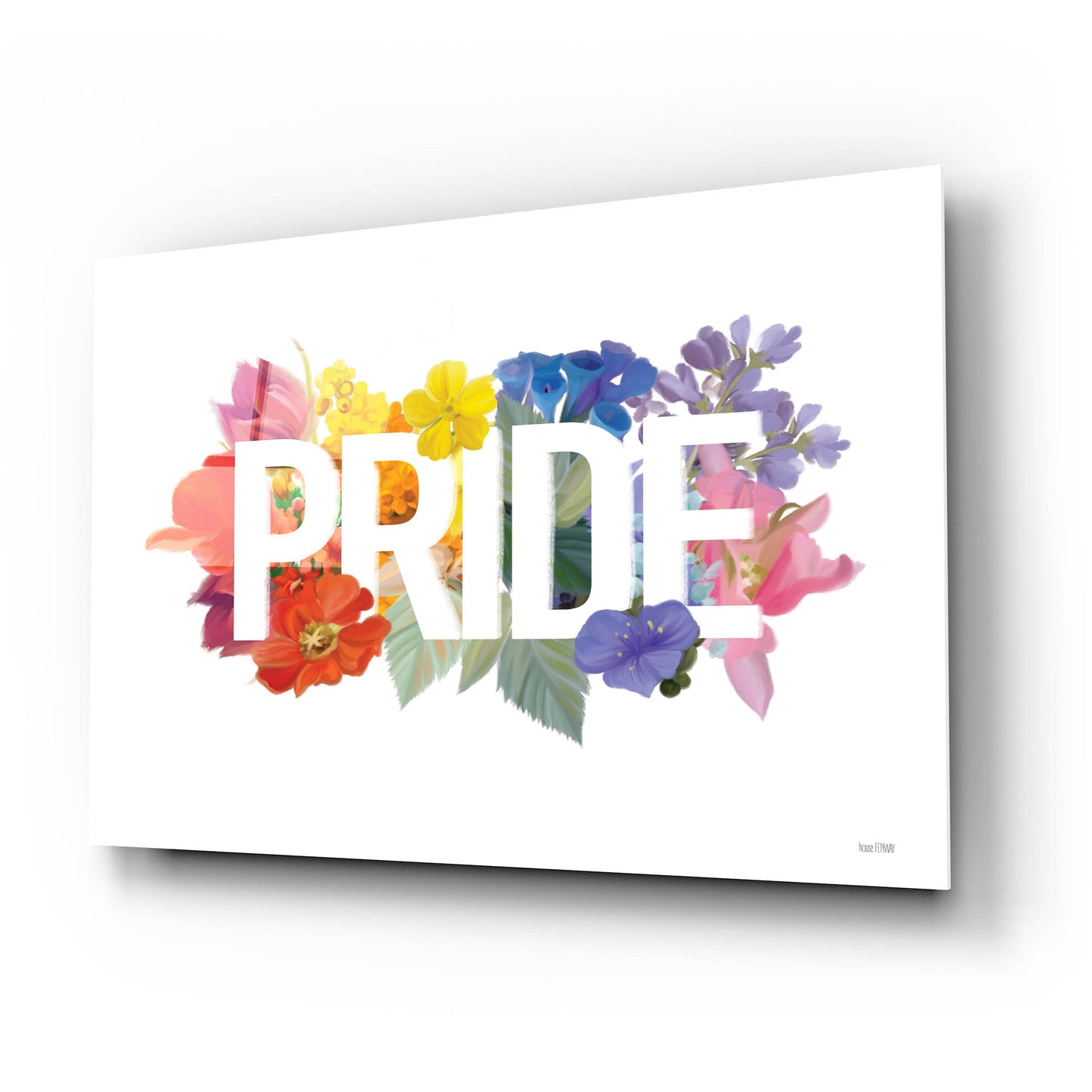 Epic Art 'Rainbow Pride' by House Fenway, Acrylic Glass Wall Art,24x16