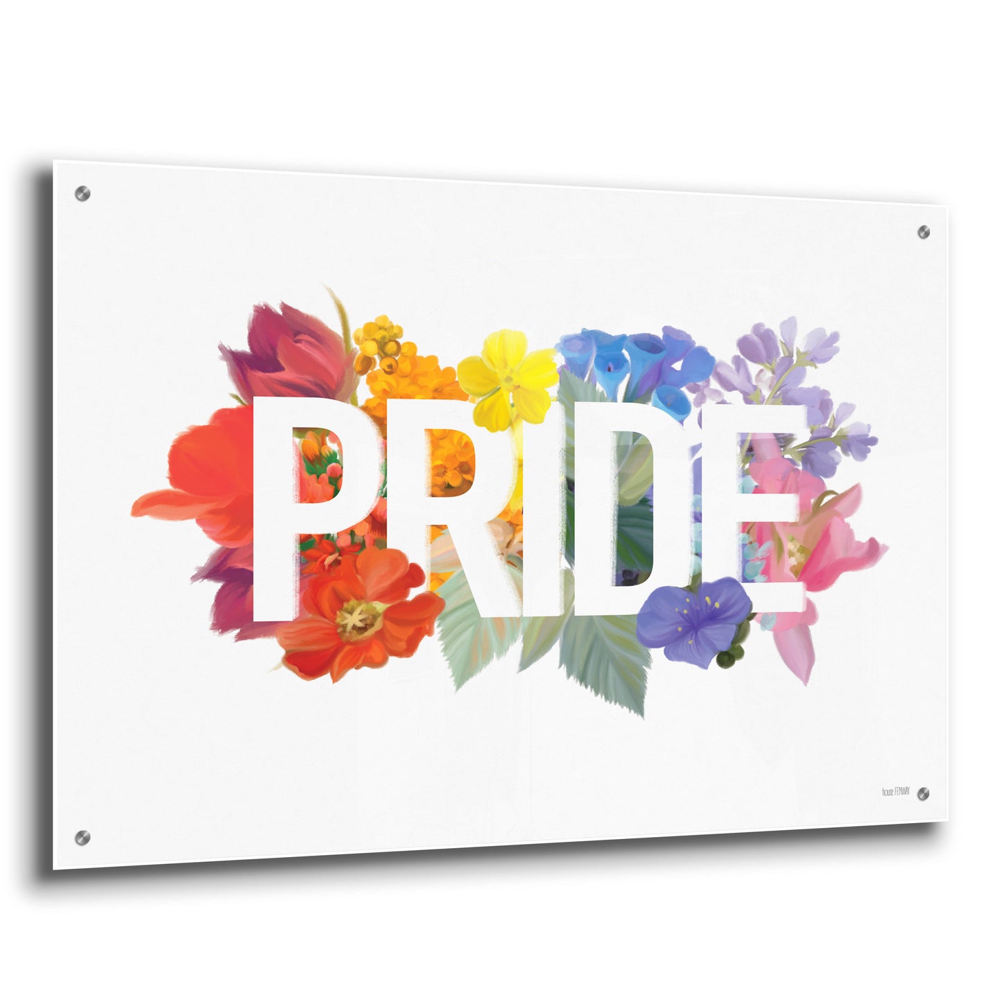 Epic Art 'Rainbow Pride' by House Fenway, Acrylic Glass Wall Art,36x24