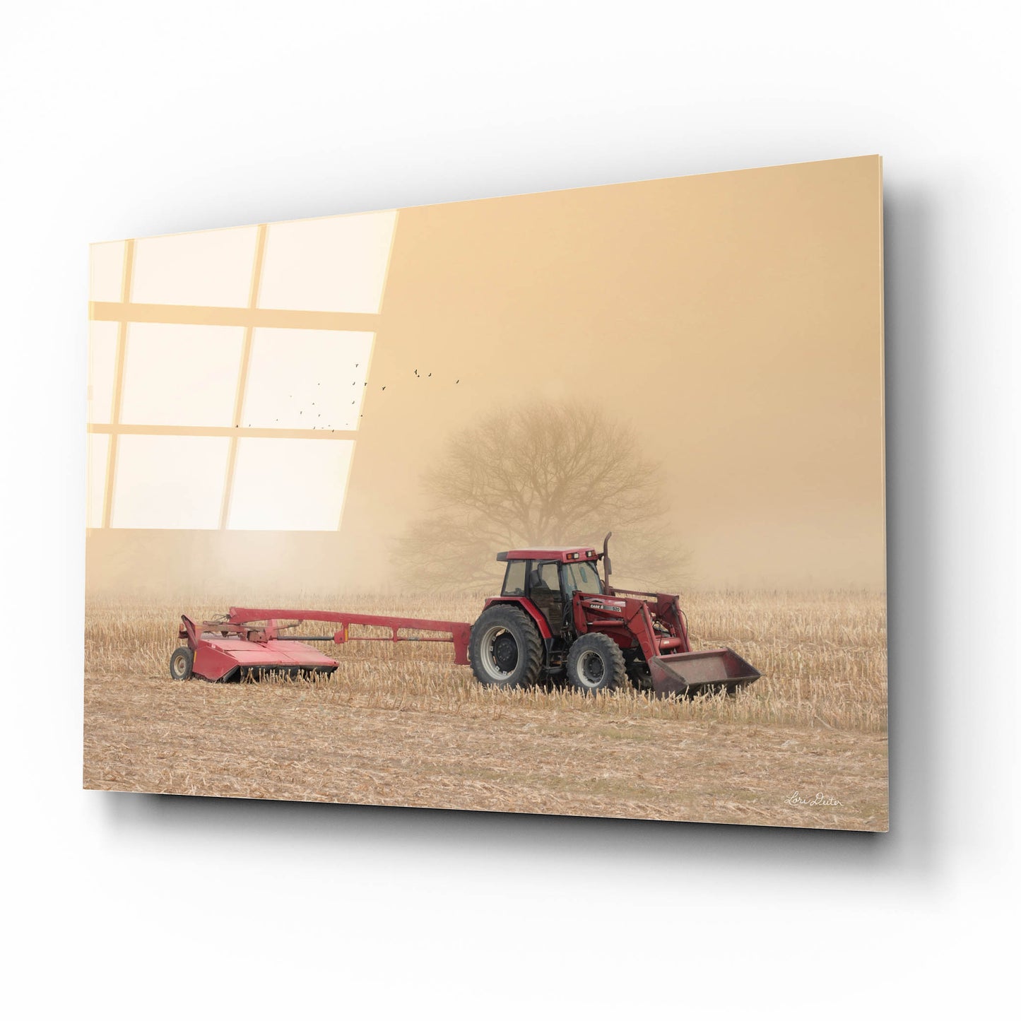 Epic Art 'Foggy Morning in the Field' by Lori Deiter, Acrylic Glass Wall Art,16x12