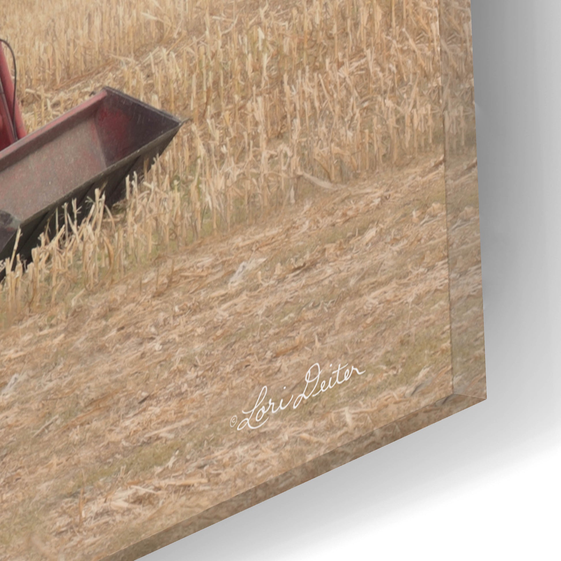 Epic Art 'Foggy Morning in the Field' by Lori Deiter, Acrylic Glass Wall Art,16x12