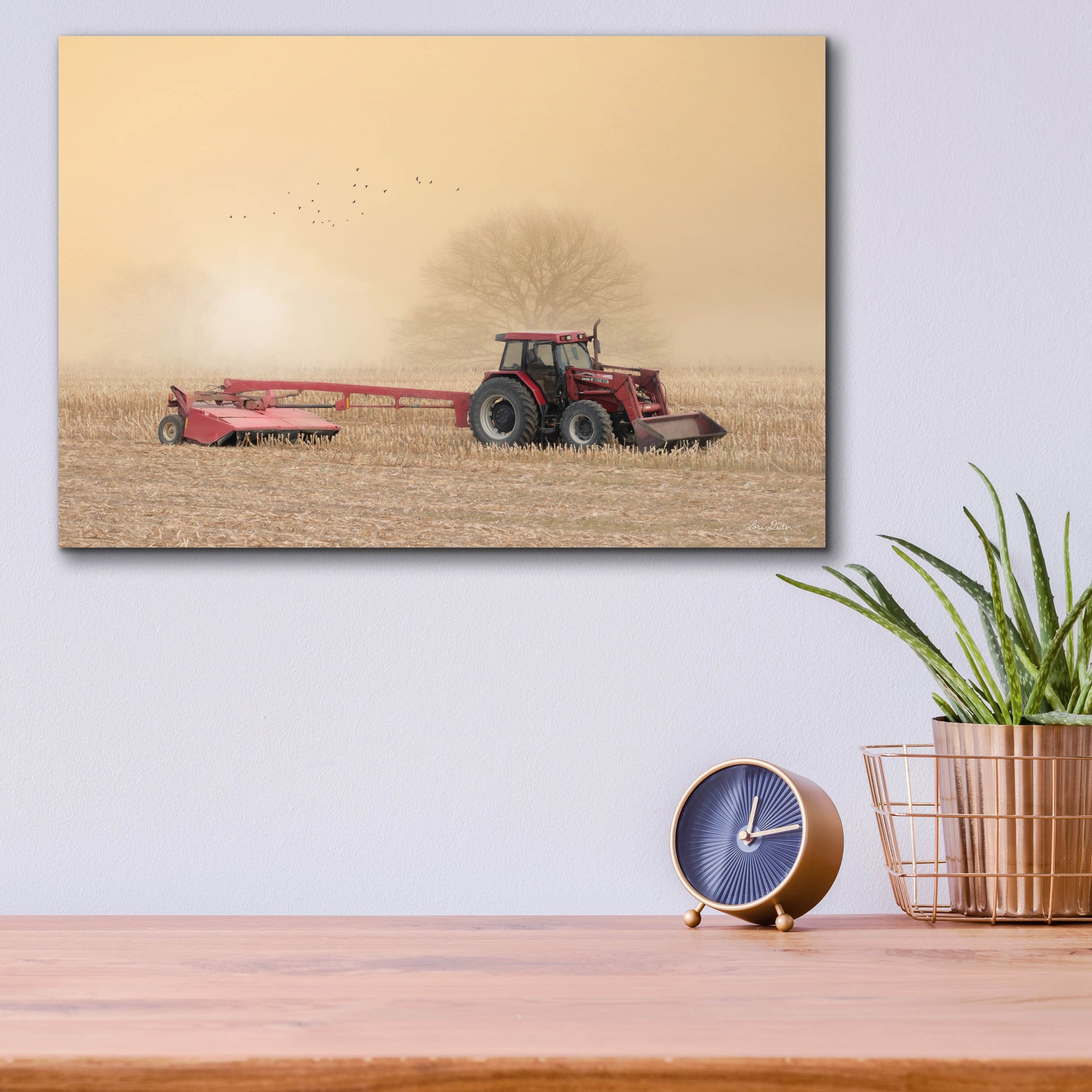 Epic Art 'Foggy Morning in the Field' by Lori Deiter, Acrylic Glass Wall Art,16x12