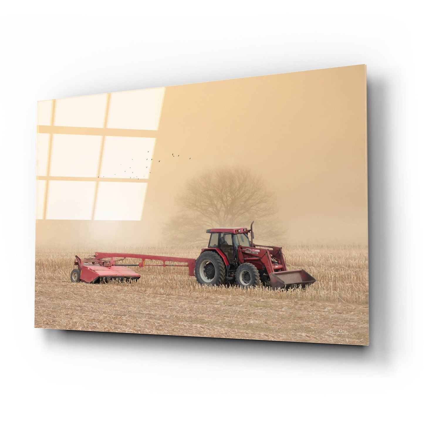 Epic Art 'Foggy Morning in the Field' by Lori Deiter, Acrylic Glass Wall Art,24x16