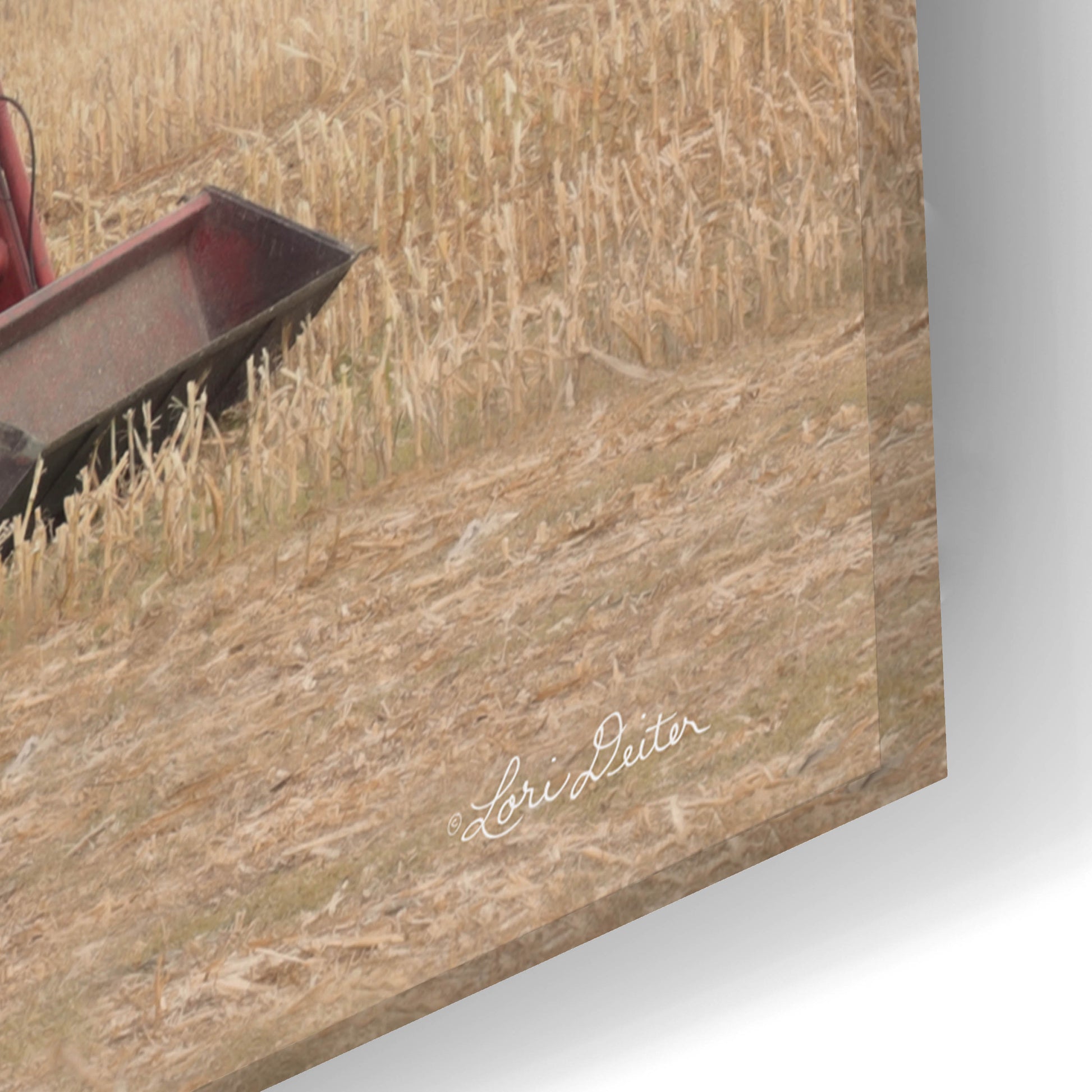 Epic Art 'Foggy Morning in the Field' by Lori Deiter, Acrylic Glass Wall Art,24x16