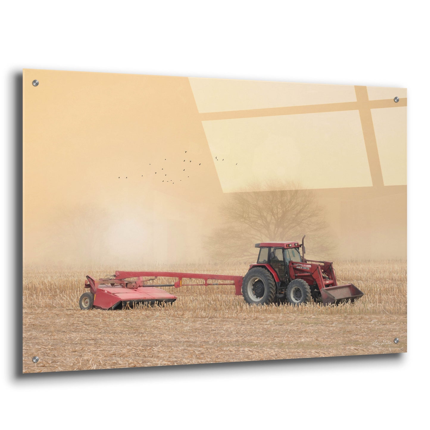 Epic Art 'Foggy Morning in the Field' by Lori Deiter, Acrylic Glass Wall Art,36x24