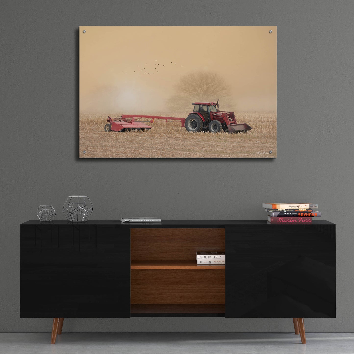 Epic Art 'Foggy Morning in the Field' by Lori Deiter, Acrylic Glass Wall Art,36x24