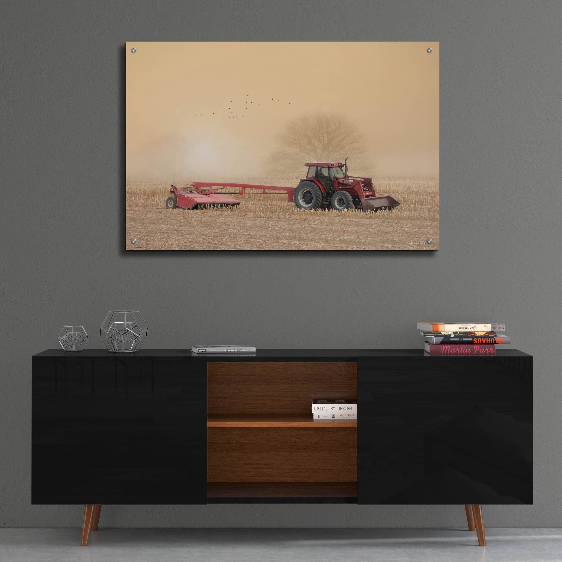 Epic Art 'Foggy Morning in the Field' by Lori Deiter, Acrylic Glass Wall Art,36x24