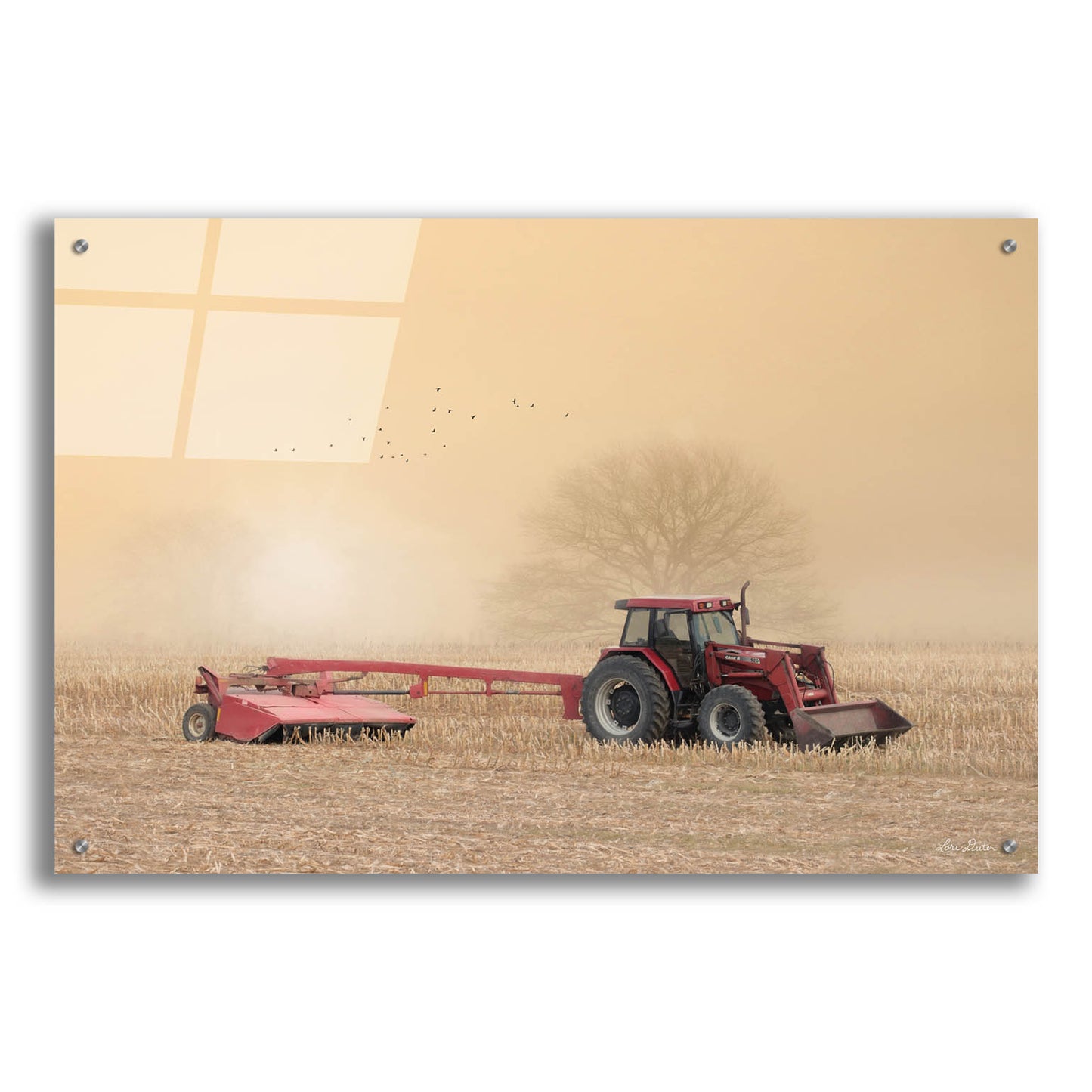 Epic Art 'Foggy Morning in the Field' by Lori Deiter, Acrylic Glass Wall Art,36x24