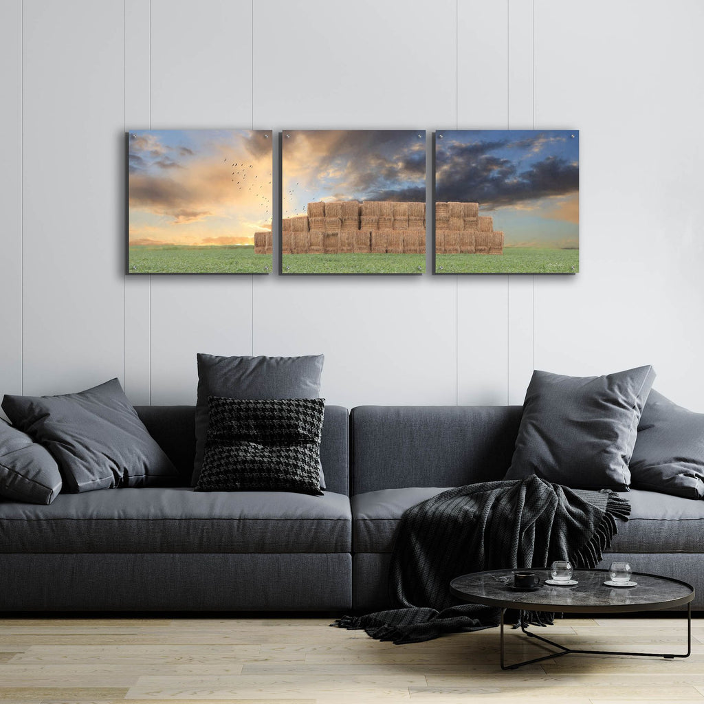 Epic Art 'Haystack Harvest' by Lori Deiter, Acrylic Glass Wall Art, 3 Piece Set,72x24