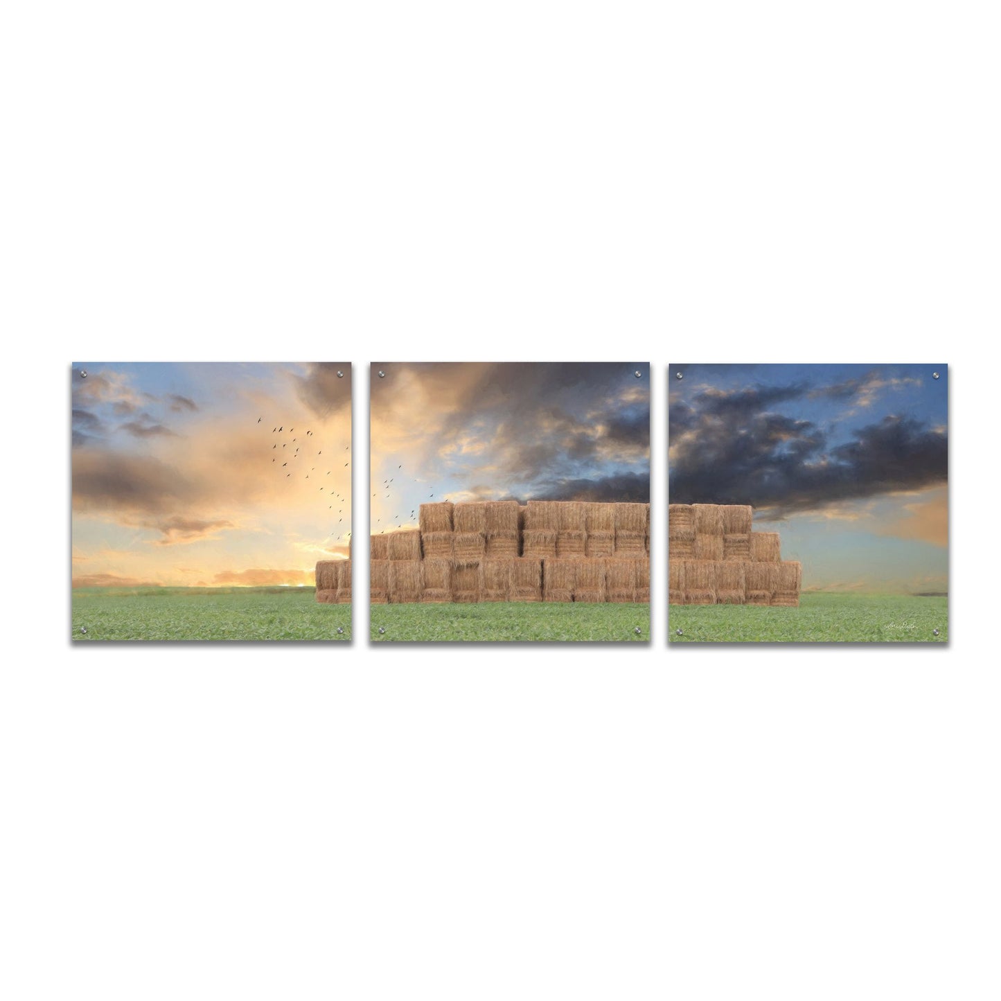 Epic Art 'Haystack Harvest' by Lori Deiter, Acrylic Glass Wall Art, 3 Piece Set