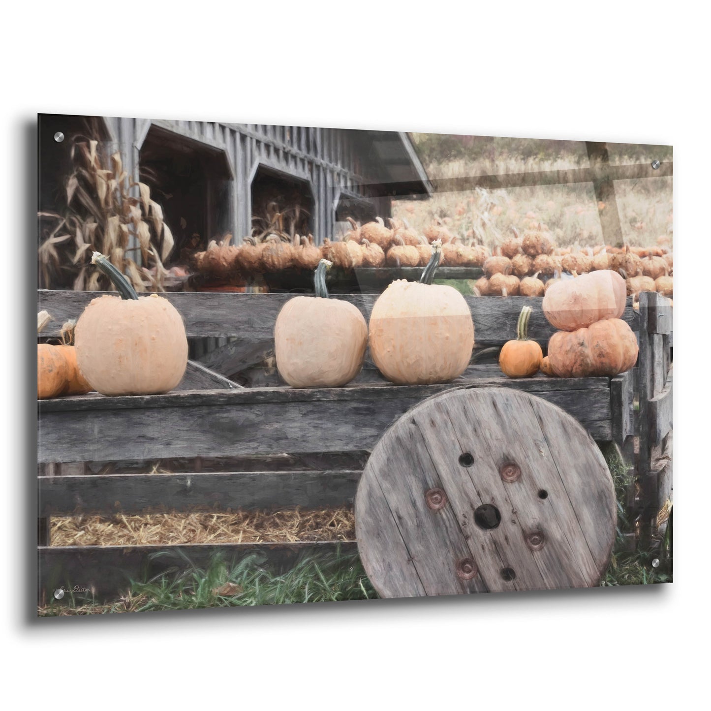 Epic Art 'Pumpkin Market' by Lori Deiter, Acrylic Glass Wall Art,36x24