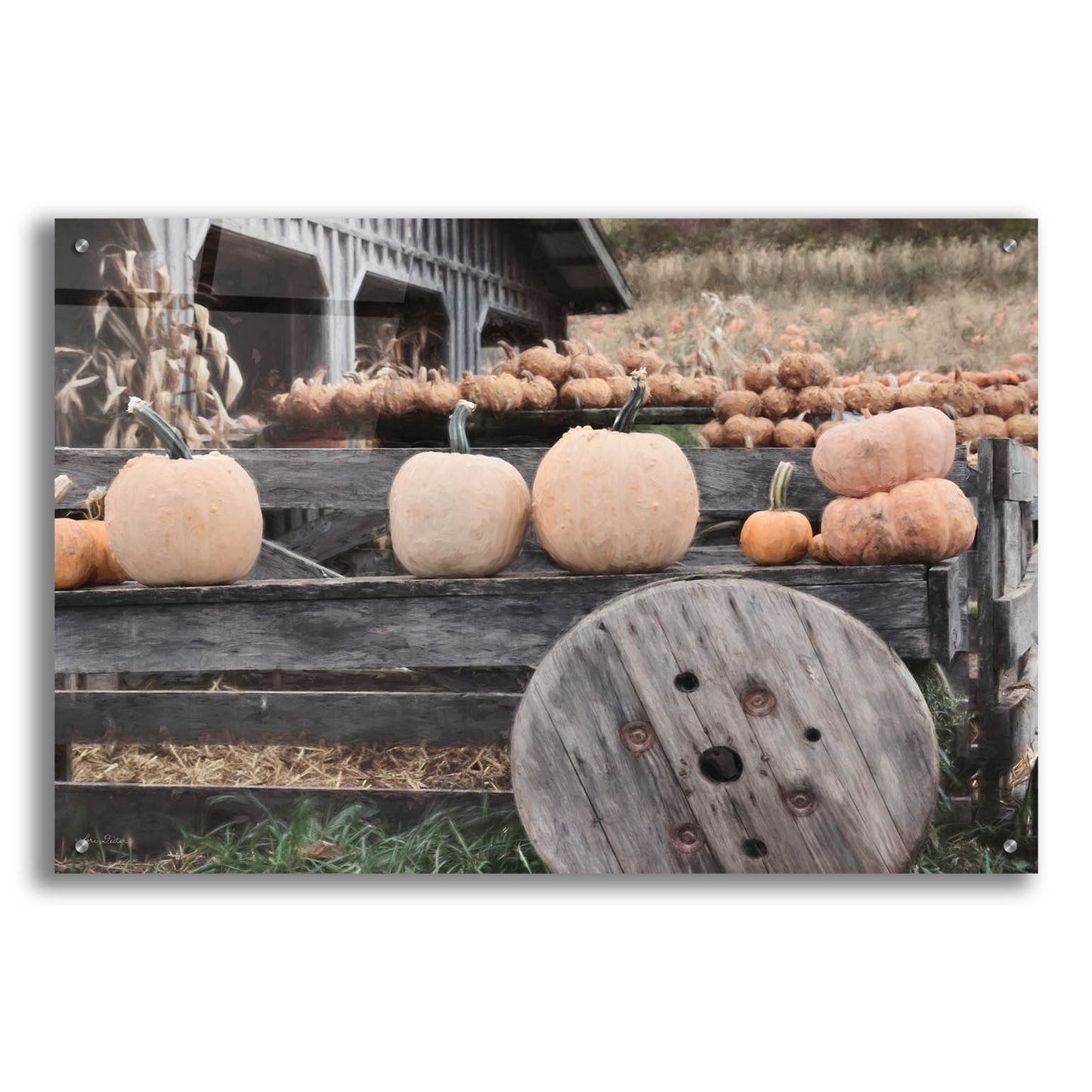 Epic Art 'Pumpkin Market' by Lori Deiter, Acrylic Glass Wall Art,36x24