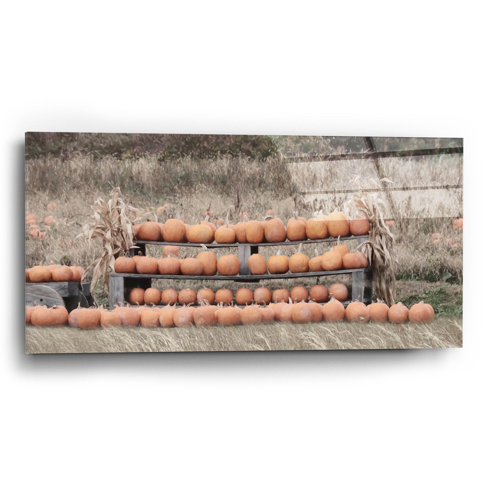 Epic Art 'Pumpkin Picking' by Lori Deiter, Acrylic Glass Wall Art,24x12