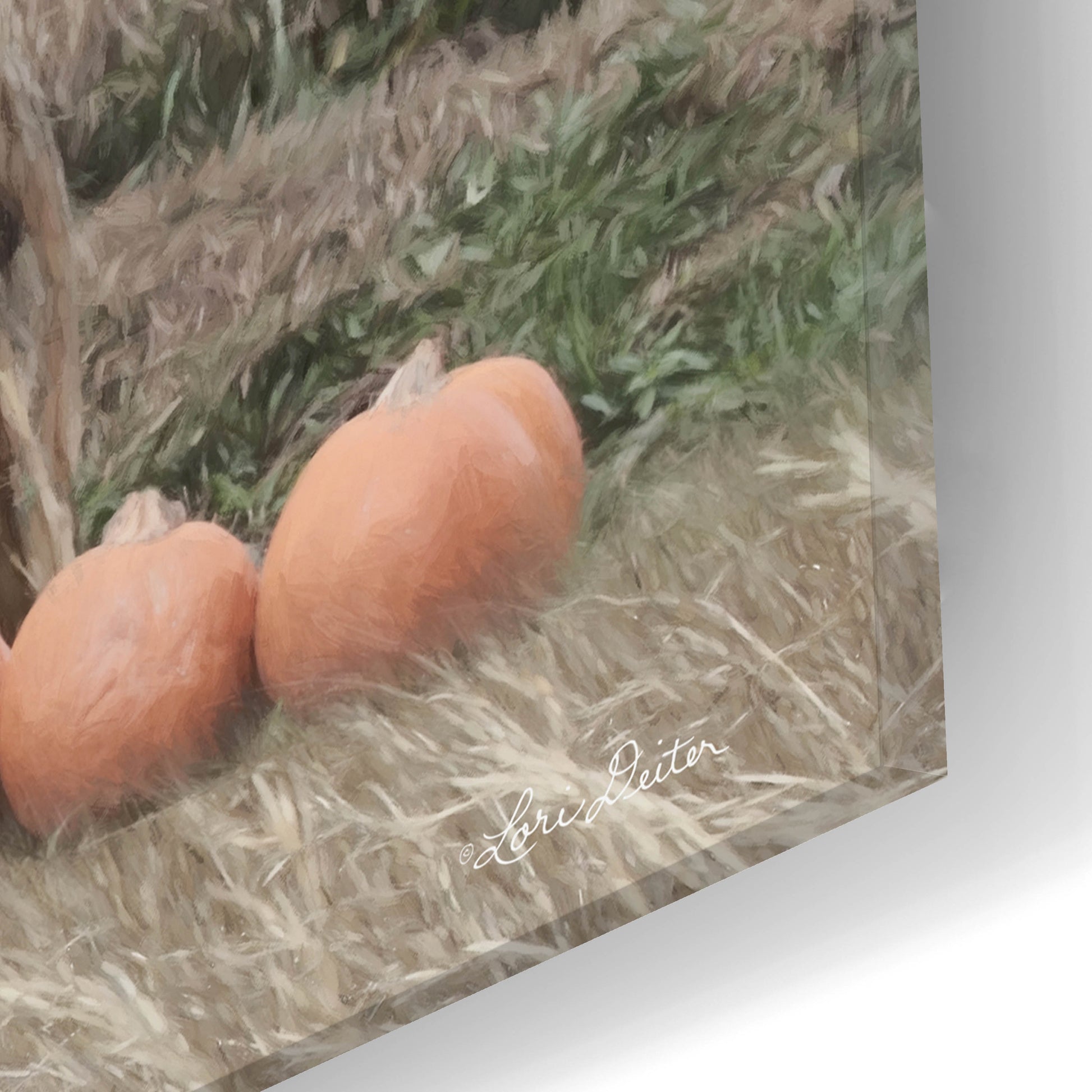 Epic Art 'Pumpkin Picking' by Lori Deiter, Acrylic Glass Wall Art,24x12