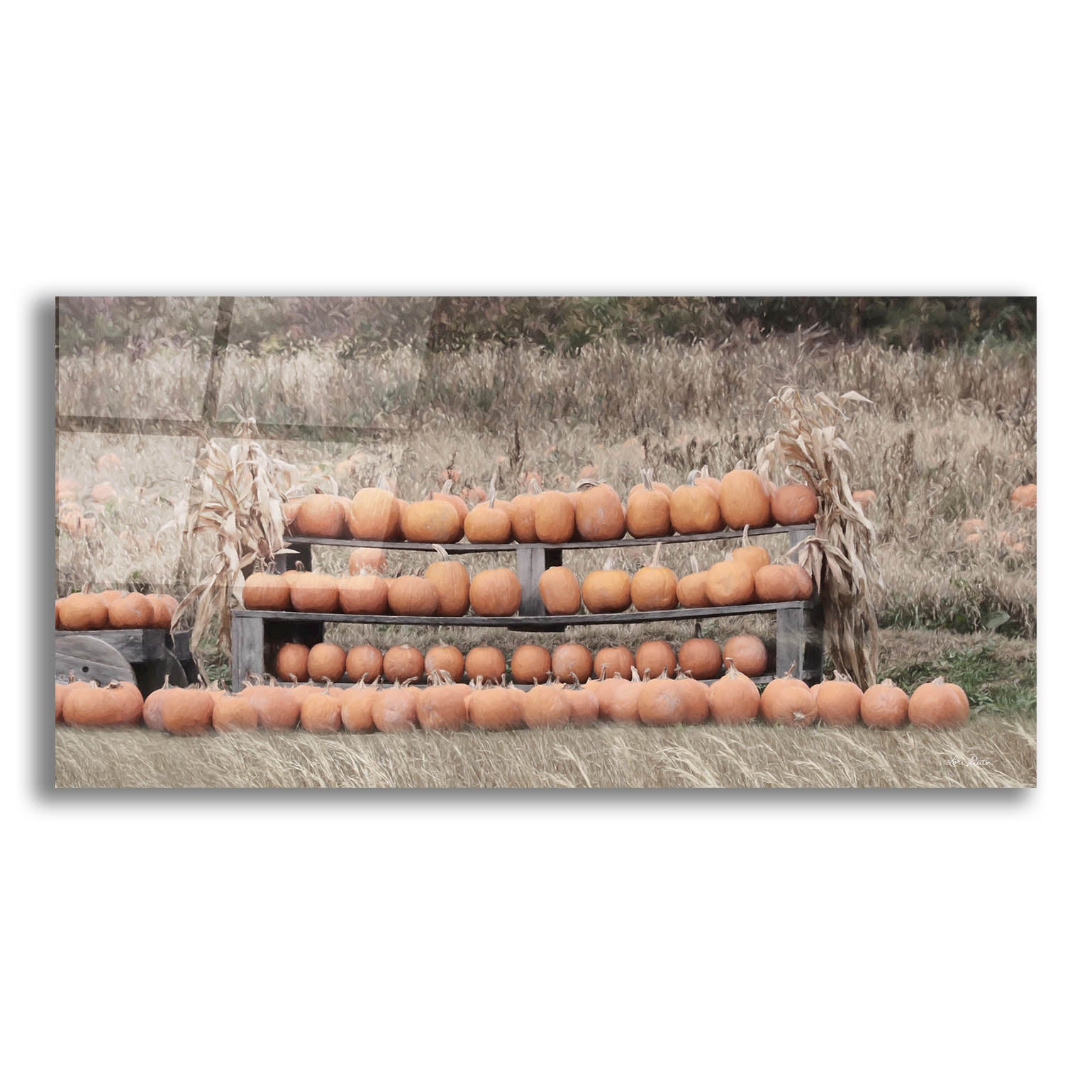 Epic Art 'Pumpkin Picking' by Lori Deiter, Acrylic Glass Wall Art,24x12