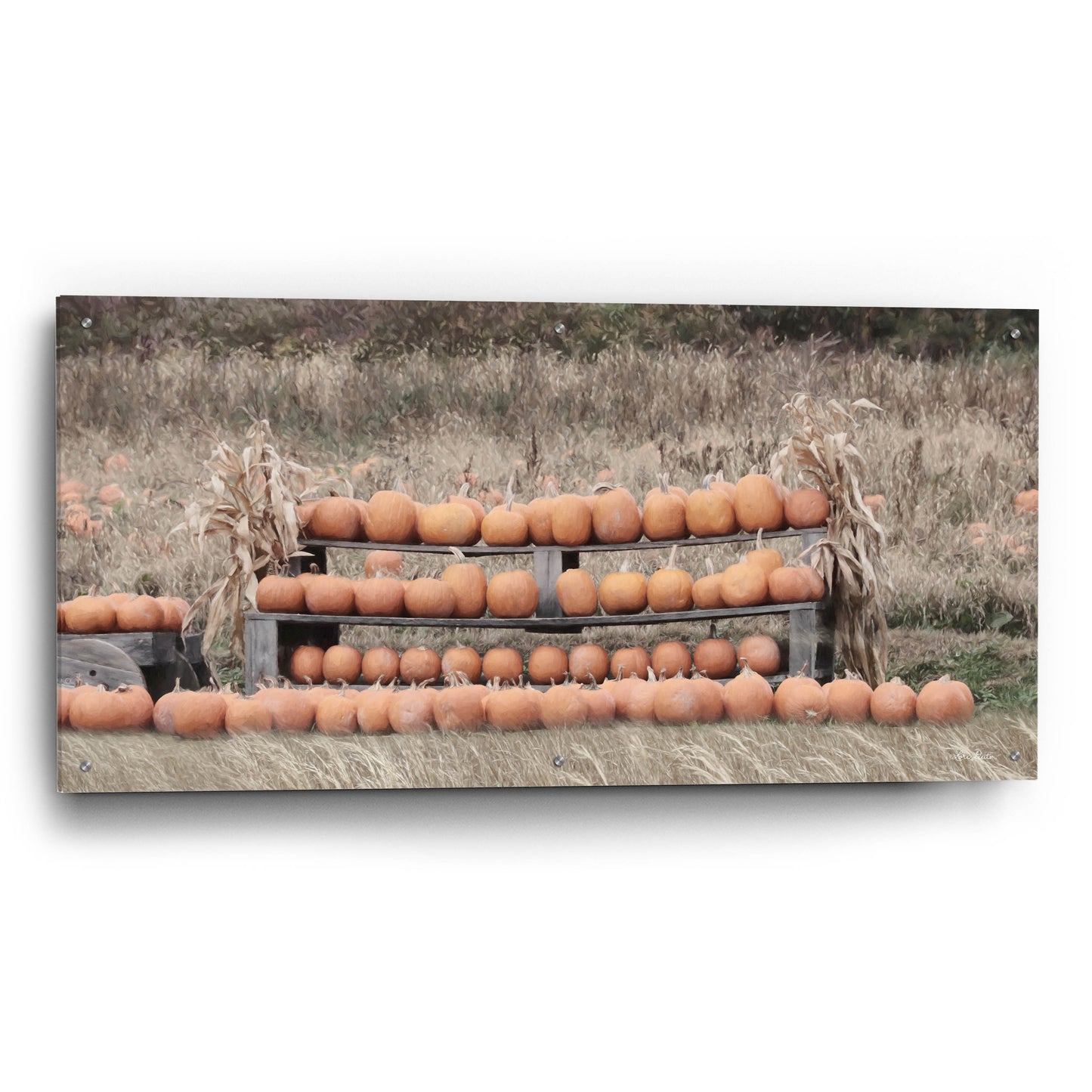 Epic Art 'Pumpkin Picking' by Lori Deiter, Acrylic Glass Wall Art,48x24