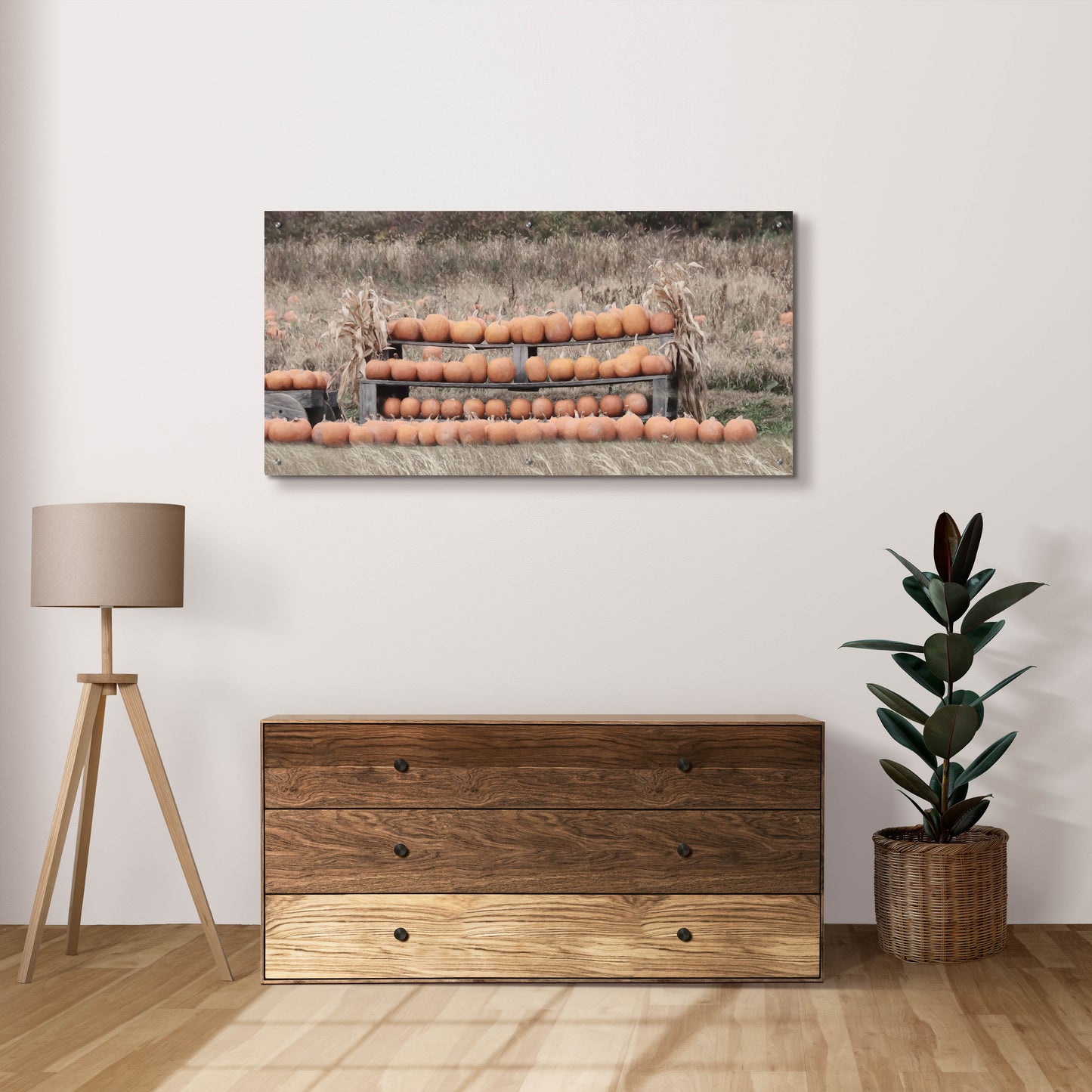 Epic Art 'Pumpkin Picking' by Lori Deiter, Acrylic Glass Wall Art,48x24