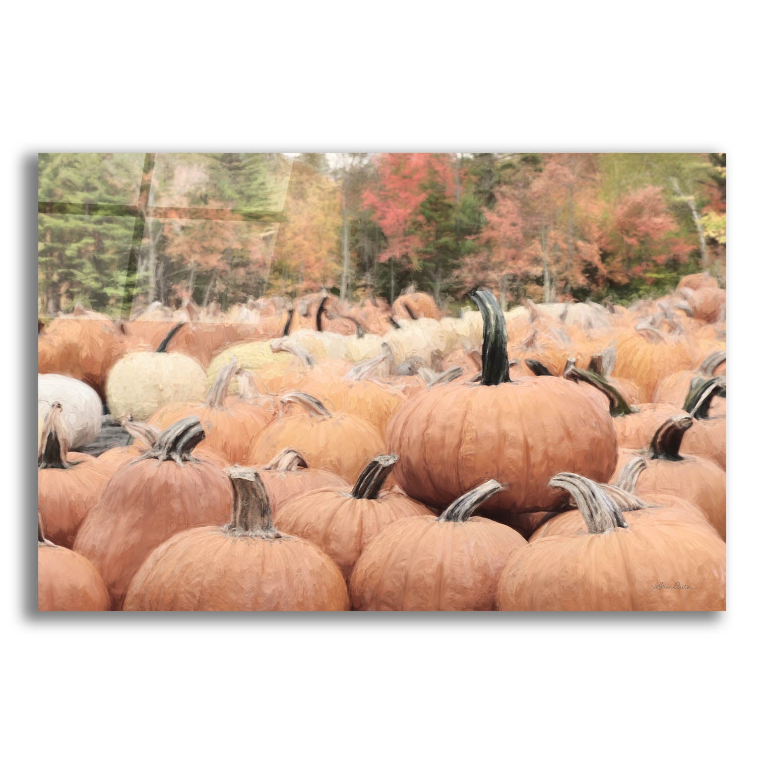 Epic Art 'The Perfect Pumpkin' by Lori Deiter, Acrylic Glass Wall Art,24x16