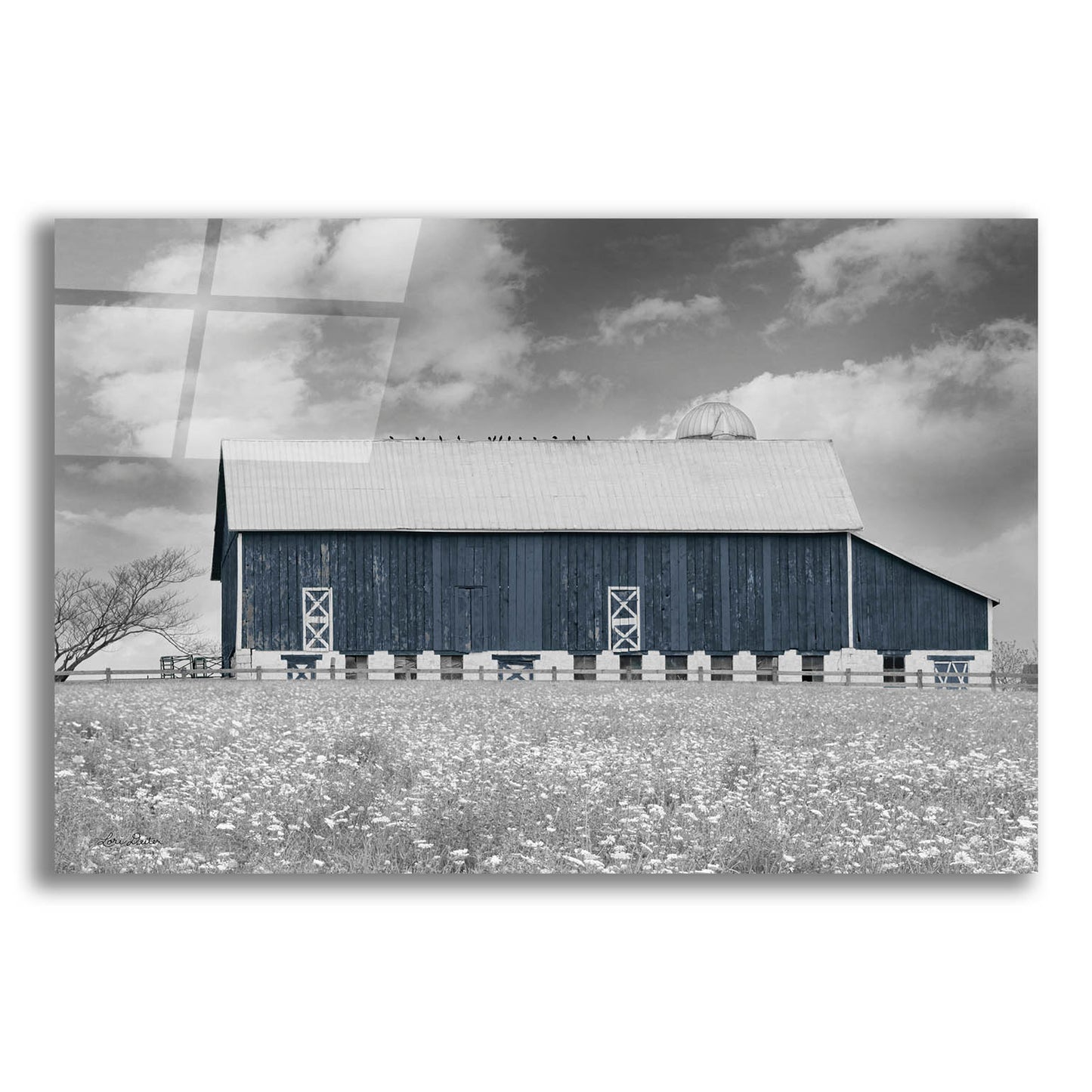 Epic Art 'Black & White Barn' by Lori Deiter, Acrylic Glass Wall Art,16x12