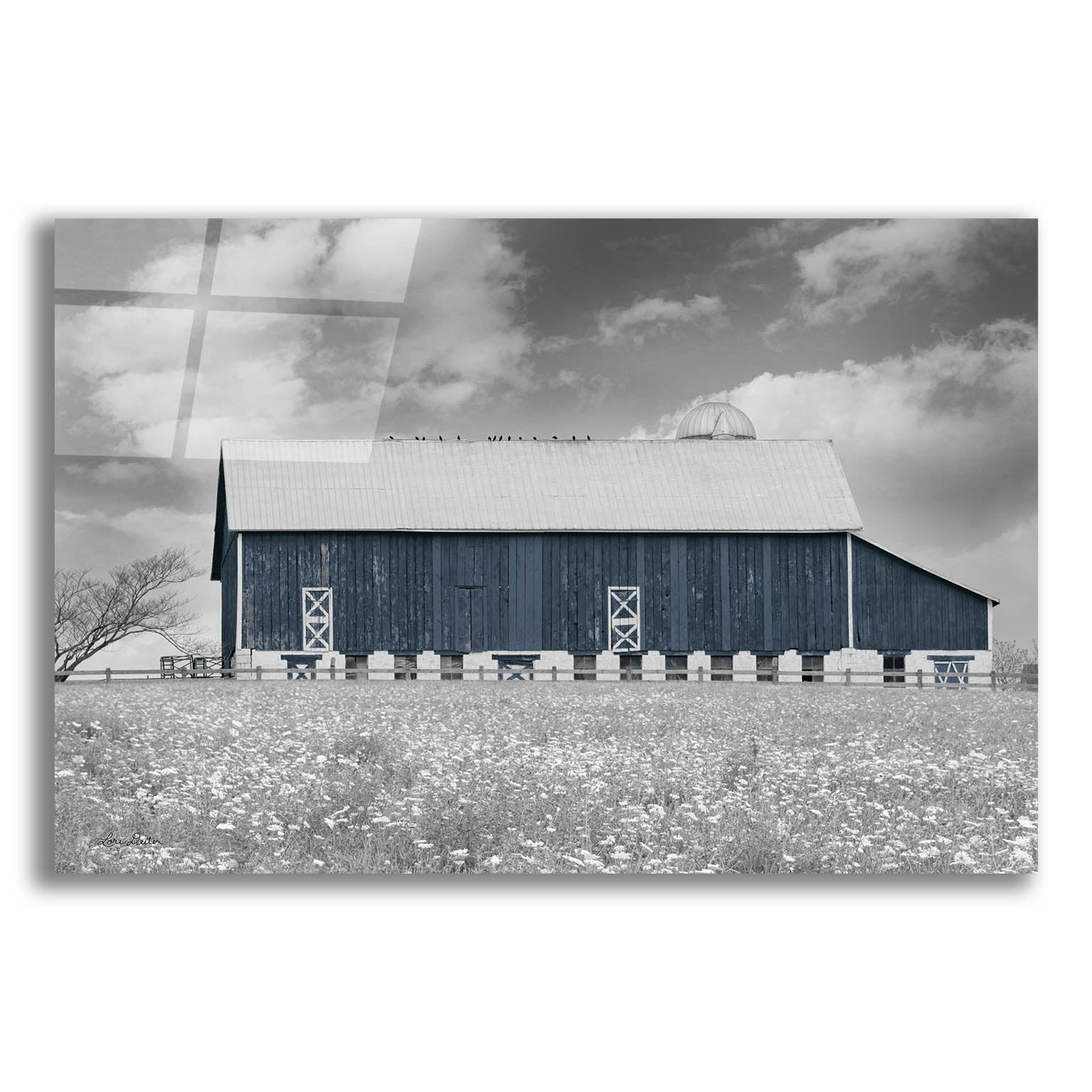 Epic Art 'Black & White Barn' by Lori Deiter, Acrylic Glass Wall Art,16x12