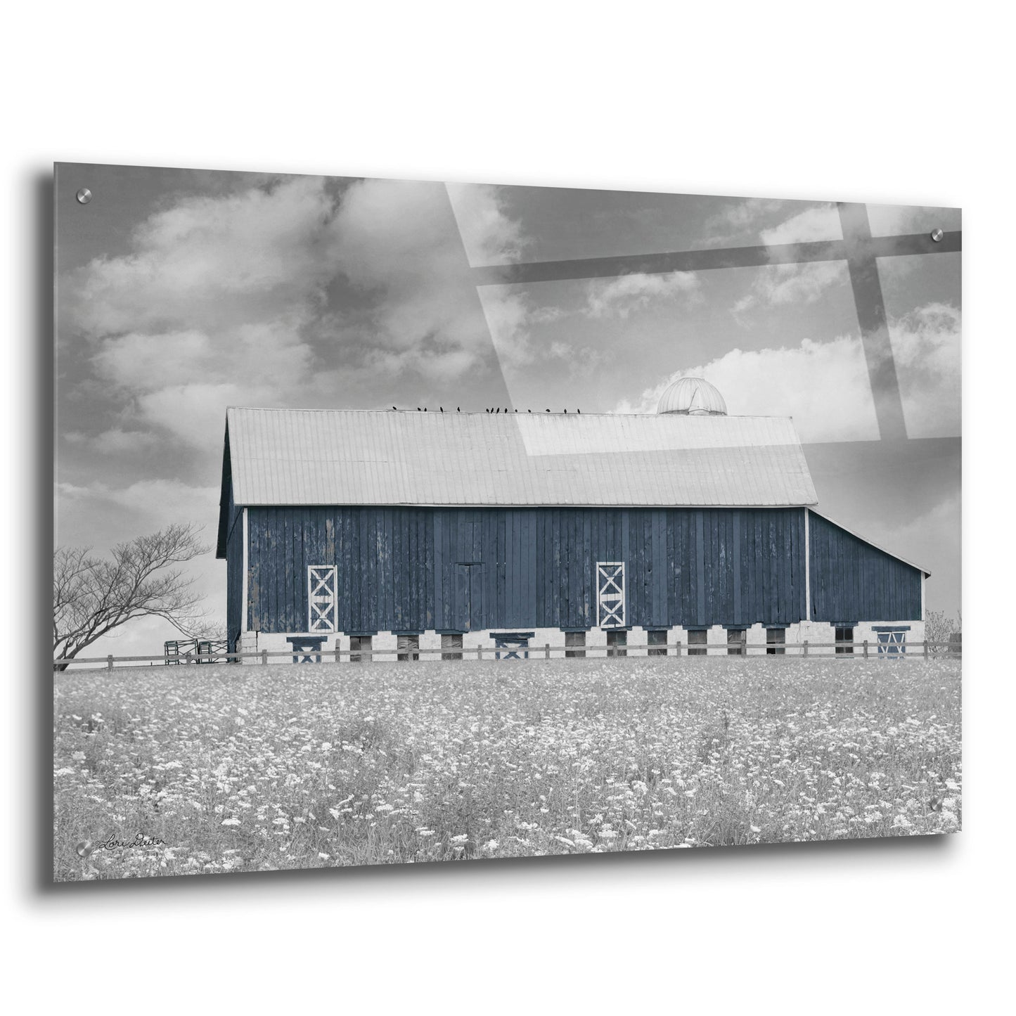 Epic Art 'Black & White Barn' by Lori Deiter, Acrylic Glass Wall Art,36x24