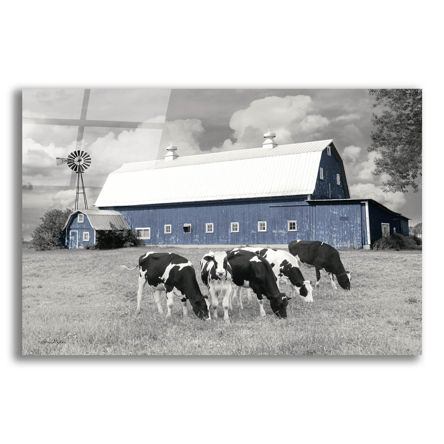 Epic Art 'Blue Barn with Cows' by Lori Deiter, Acrylic Glass Wall Art,16x12