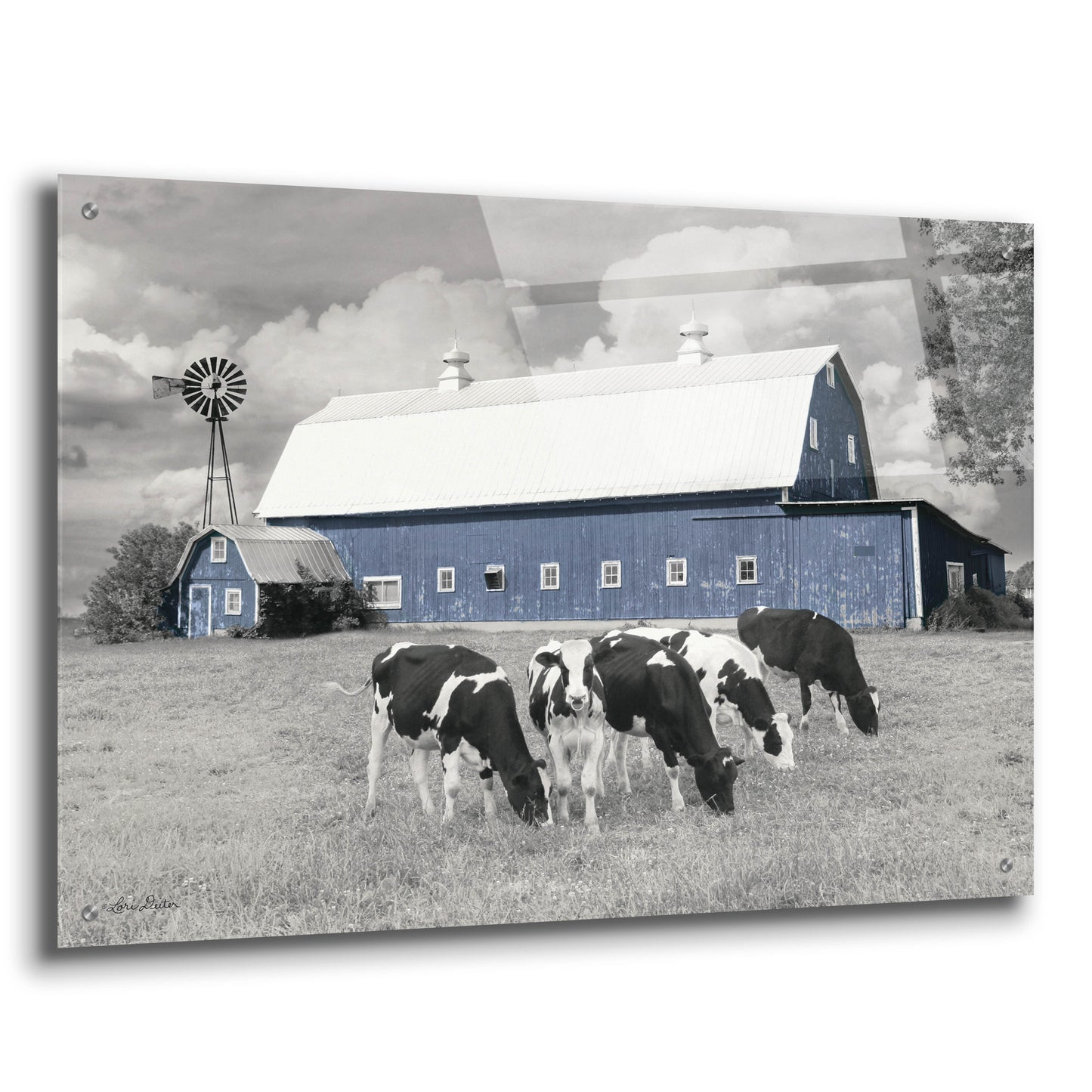 Epic Art 'Blue Barn with Cows' by Lori Deiter, Acrylic Glass Wall Art,36x24