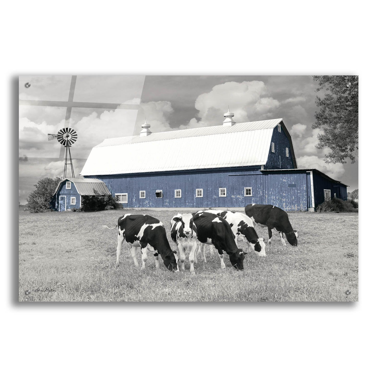 Epic Art 'Blue Barn with Cows' by Lori Deiter, Acrylic Glass Wall Art,36x24