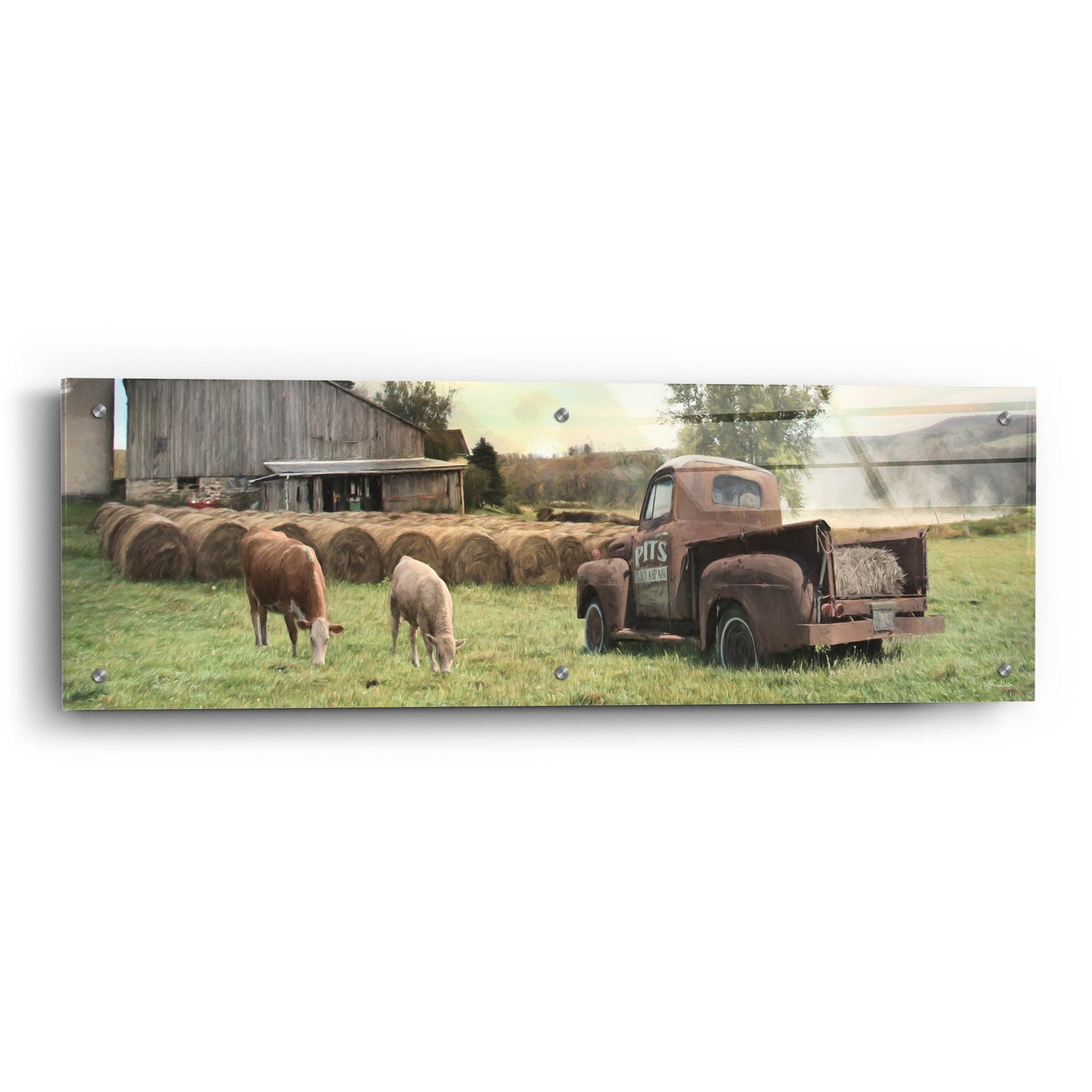 Epic Art 'Tioga County Farmland' by Lori Deiter, Acrylic Glass Wall Art,36x12