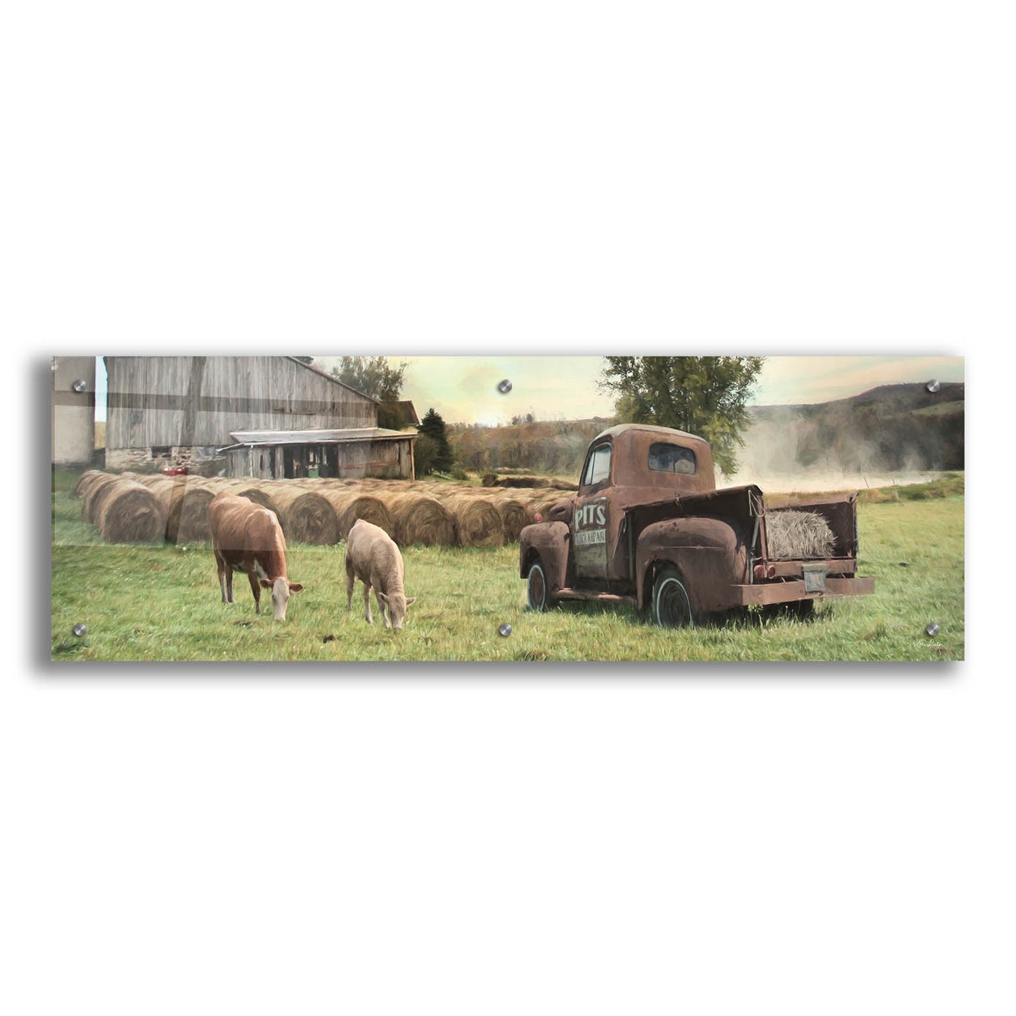 Epic Art 'Tioga County Farmland' by Lori Deiter, Acrylic Glass Wall Art,36x12