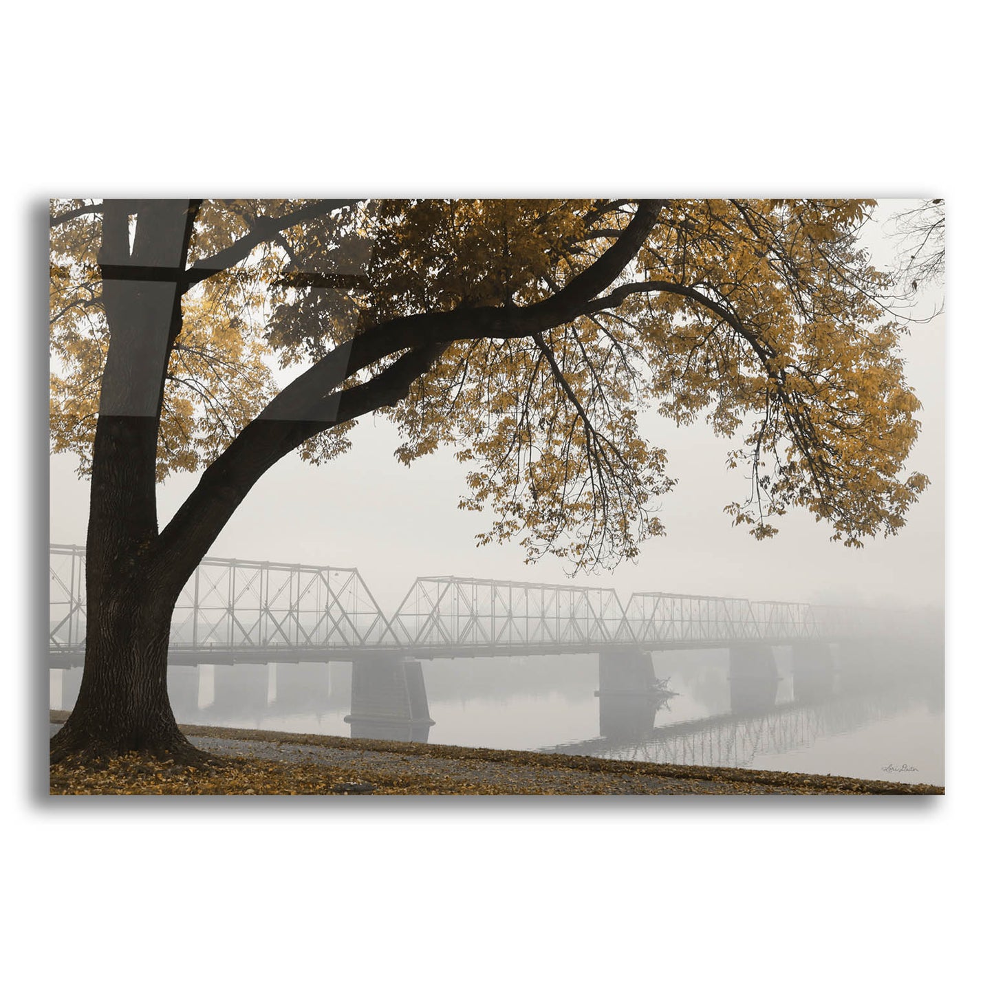 Epic Art 'Foggy Riverview' by Lori Deiter, Acrylic Glass Wall Art,16x12