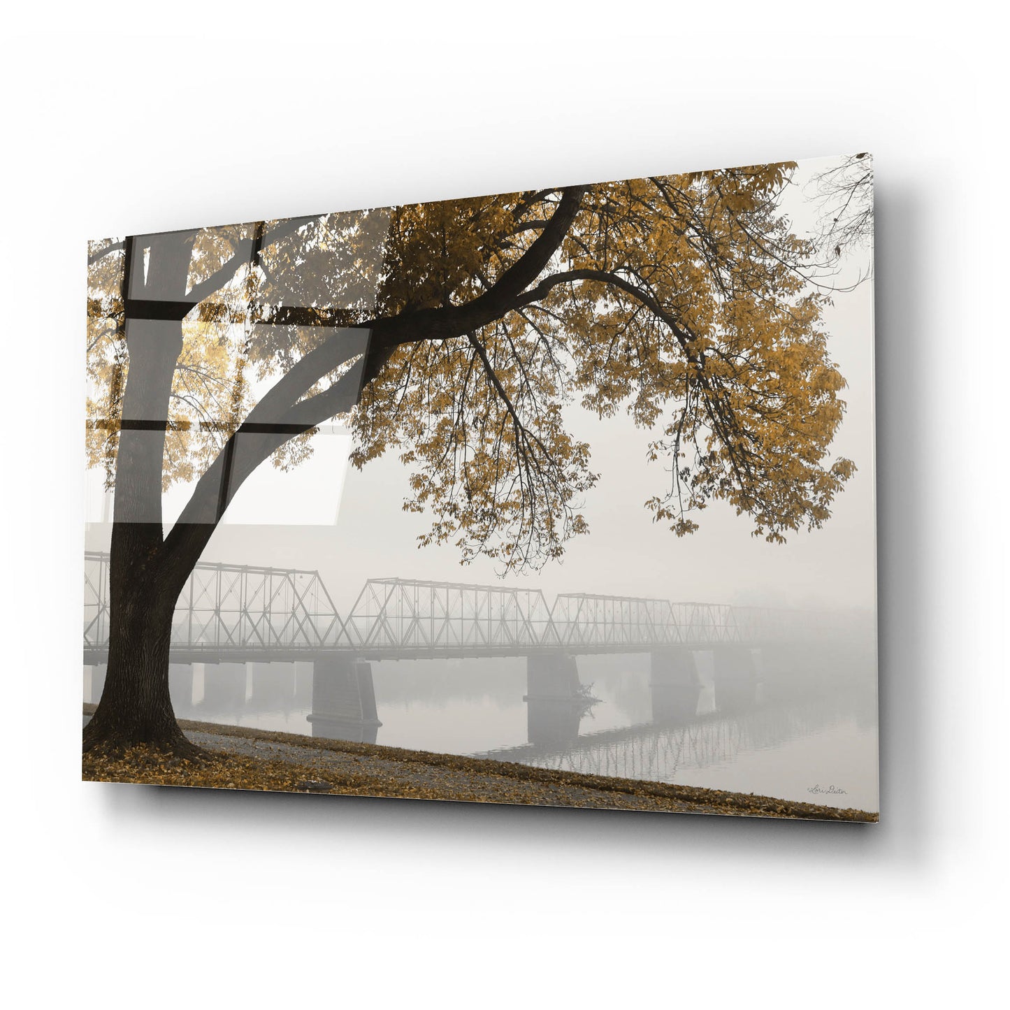 Epic Art 'Foggy Riverview' by Lori Deiter, Acrylic Glass Wall Art,24x16