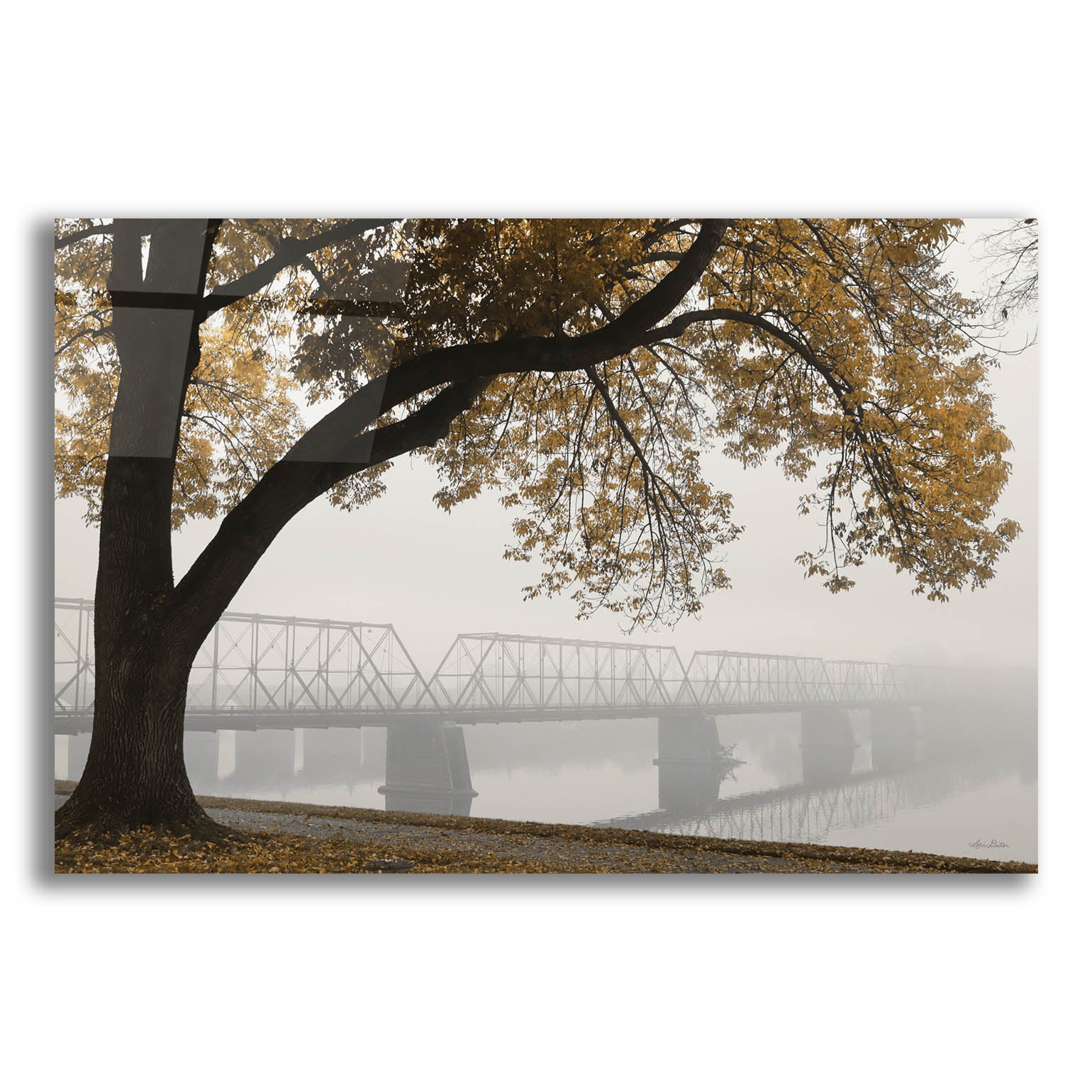 Epic Art 'Foggy Riverview' by Lori Deiter, Acrylic Glass Wall Art,24x16