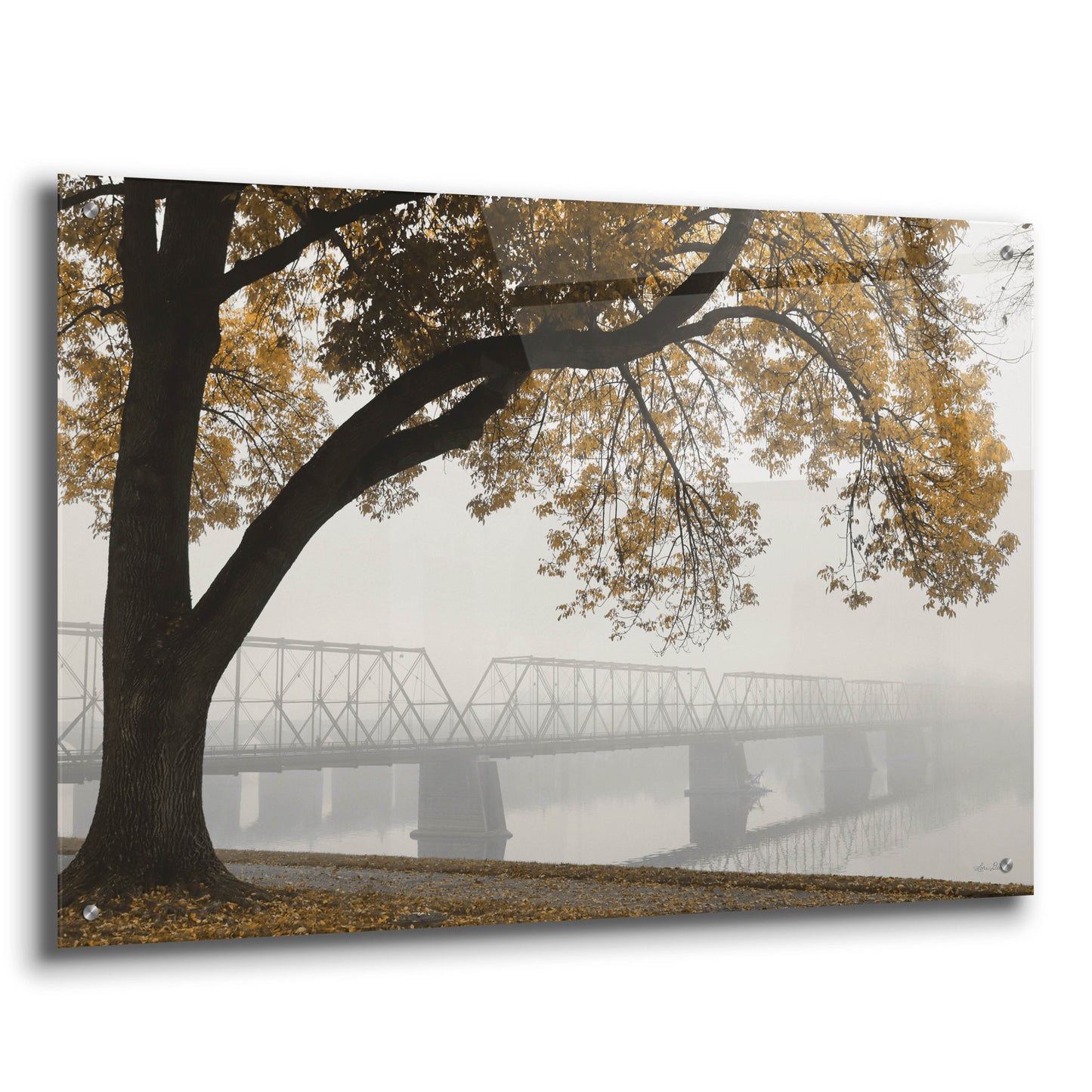 Epic Art 'Foggy Riverview' by Lori Deiter, Acrylic Glass Wall Art,36x24