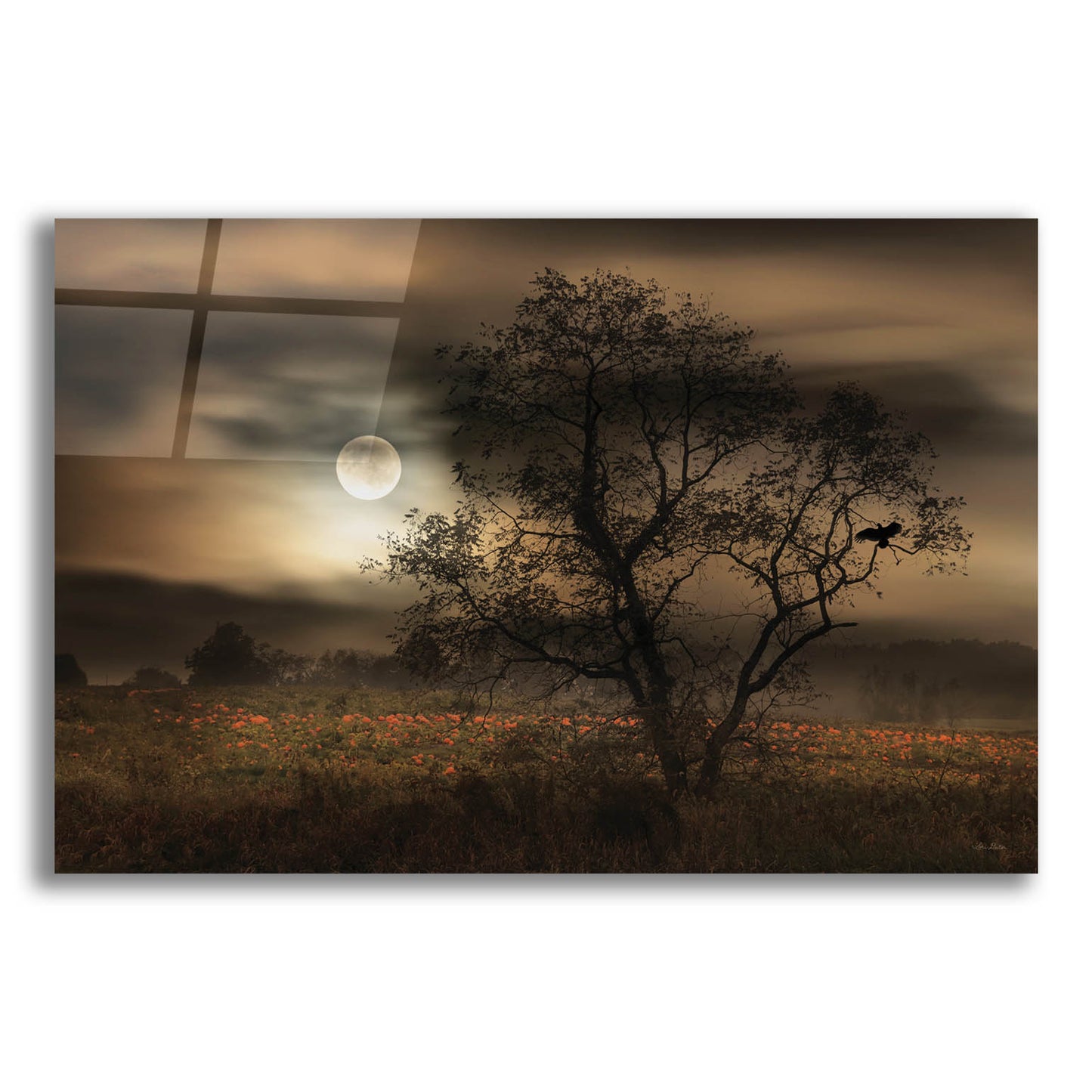 Epic Art 'When Pumpkins Glow by Moonlight' by Lori Deiter, Acrylic Glass Wall Art,24x16