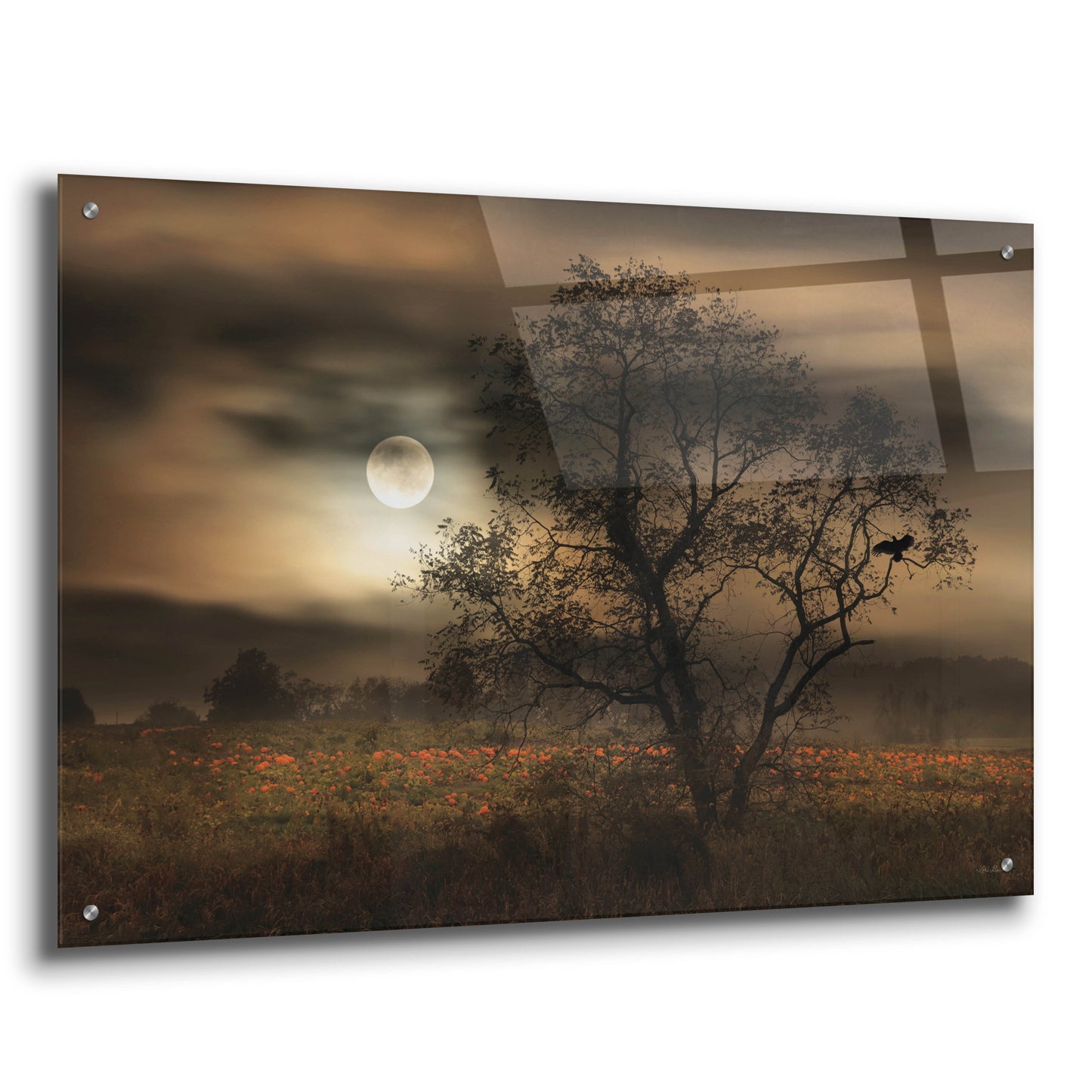 Epic Art 'When Pumpkins Glow by Moonlight' by Lori Deiter, Acrylic Glass Wall Art,36x24