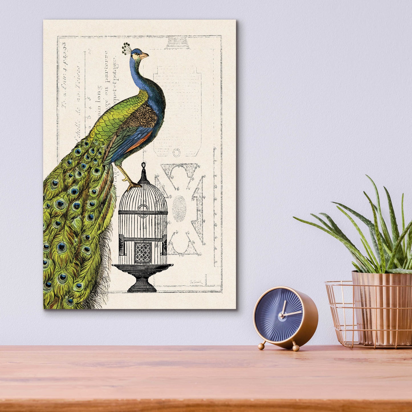 Epic Art 'Peacock Birdcage I' by Sue Schlabach, Acrylic Glass Wall Art,12x16