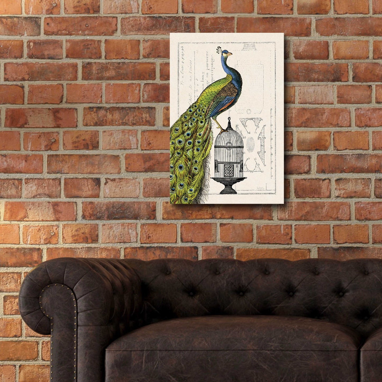 Epic Art 'Peacock Birdcage I' by Sue Schlabach, Acrylic Glass Wall Art,16x24