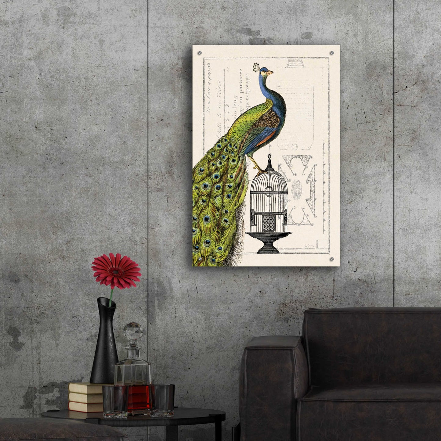 Epic Art 'Peacock Birdcage I' by Sue Schlabach, Acrylic Glass Wall Art,24x36