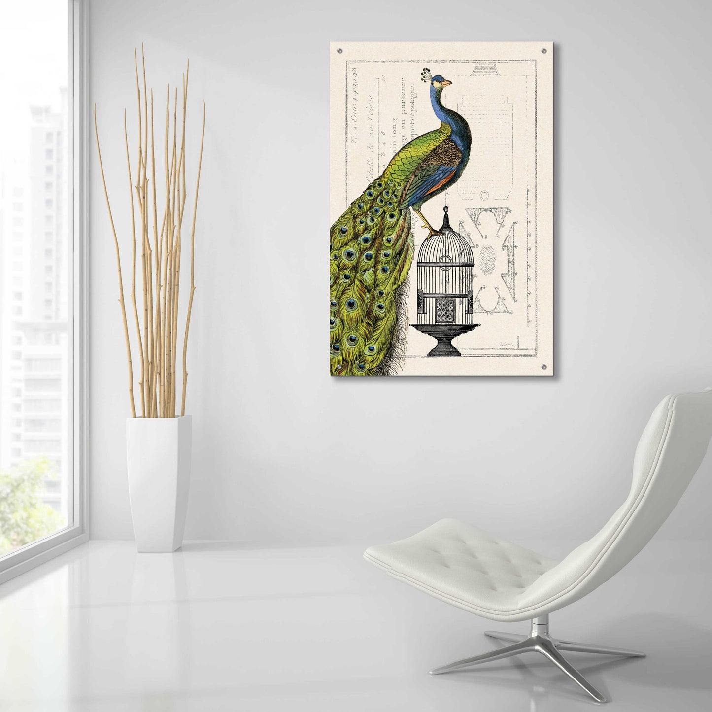 Epic Art 'Peacock Birdcage I' by Sue Schlabach, Acrylic Glass Wall Art,24x36