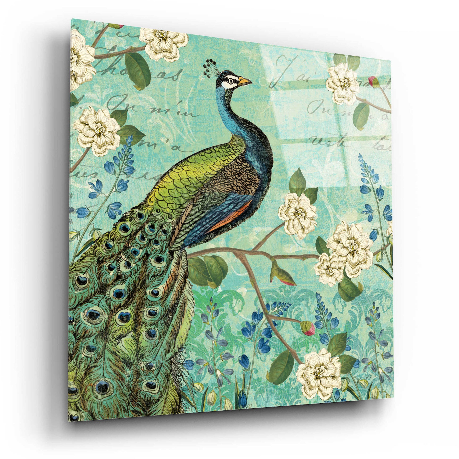 Epic Art 'Peacock Arbor V Blue' by Sue Schlabach, Acrylic Glass Wall Art,12x12