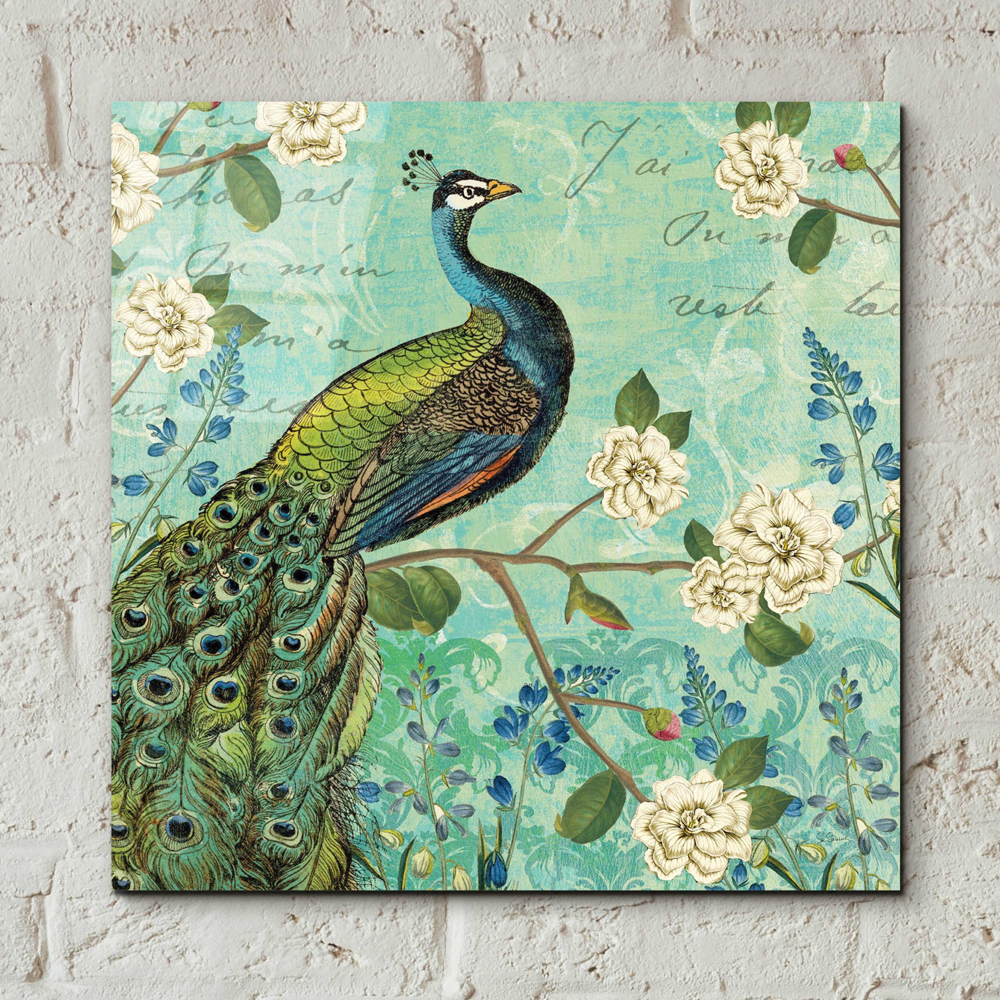 Epic Art 'Peacock Arbor V Blue' by Sue Schlabach, Acrylic Glass Wall Art,12x12