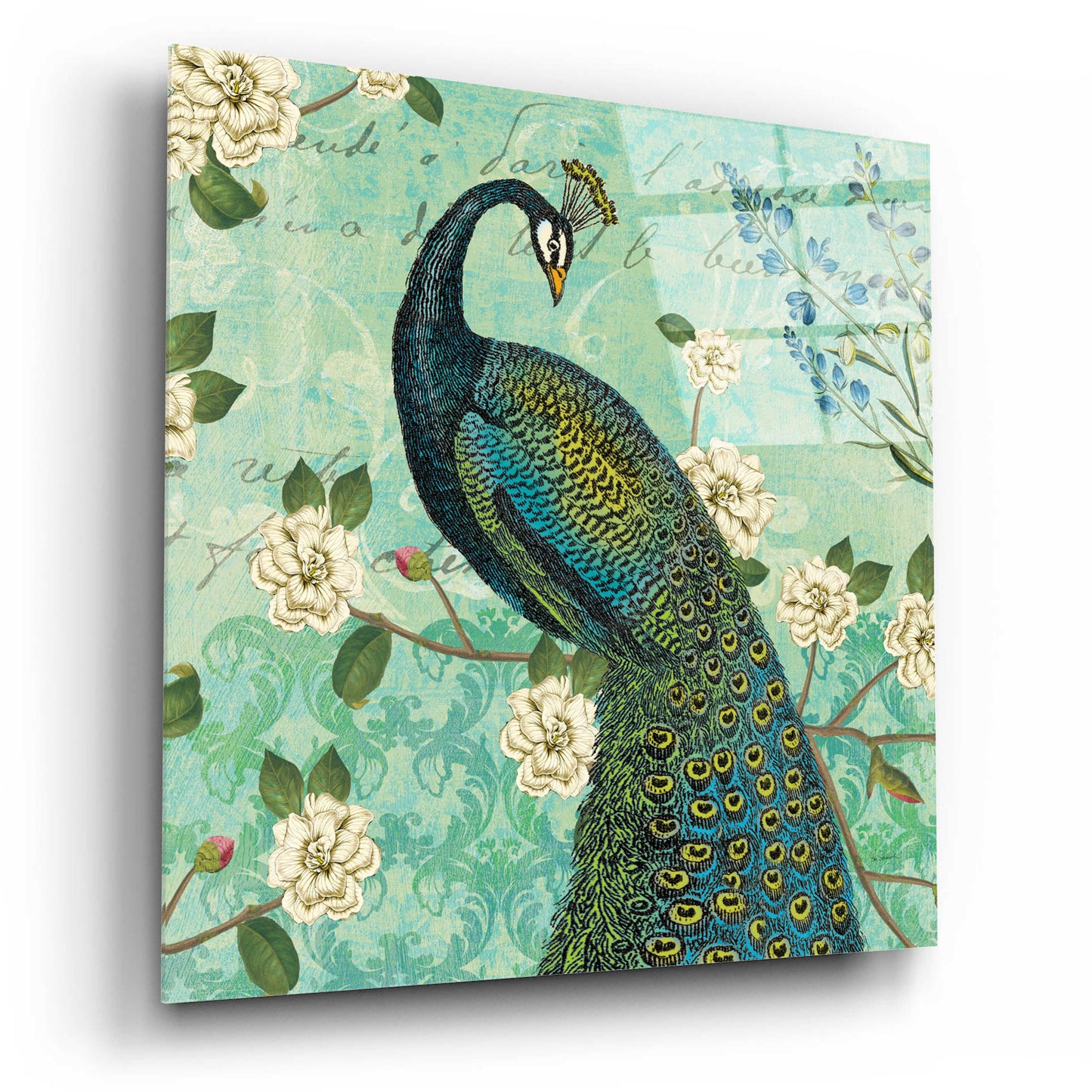 Epic Art 'Peacock Arbor VI Blue' by Sue Schlabach, Acrylic Glass Wall Art,12x12