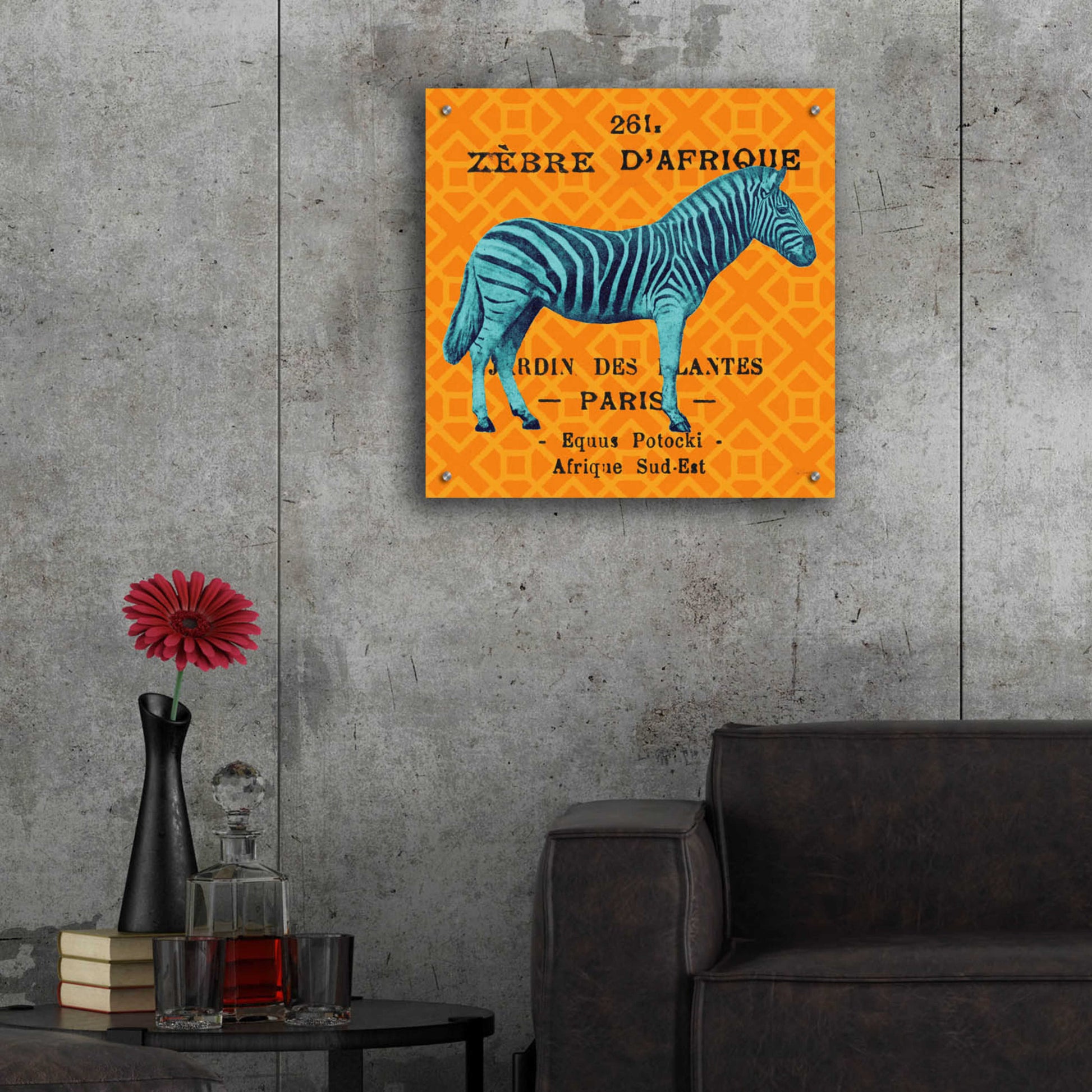 Epic Art 'Bright Safari Zebra' by Sue Schlabach, Acrylic Glass Wall Art,24x24