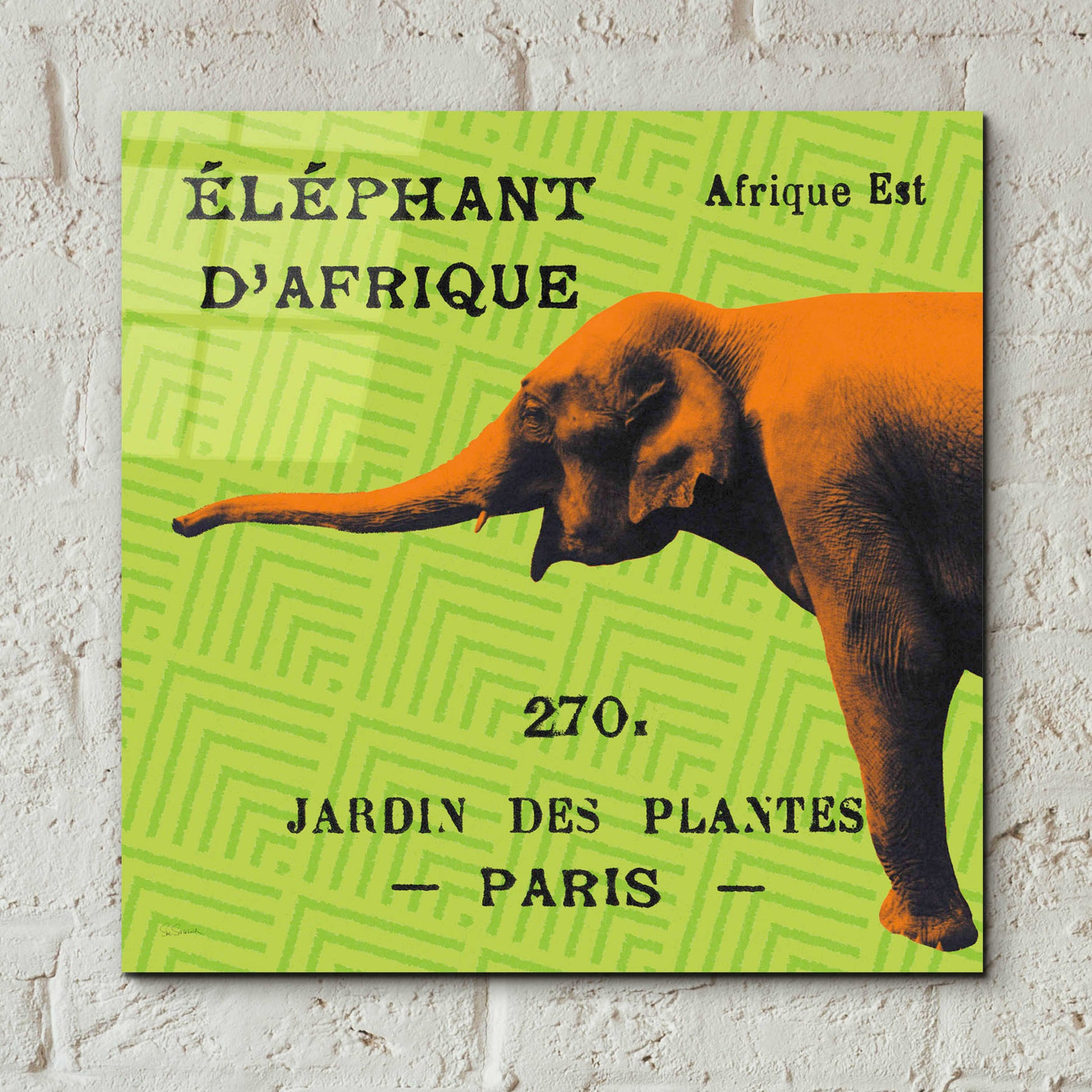 Epic Art 'Bright Safari Elephant' by Sue Schlabach, Acrylic Glass Wall Art,12x12